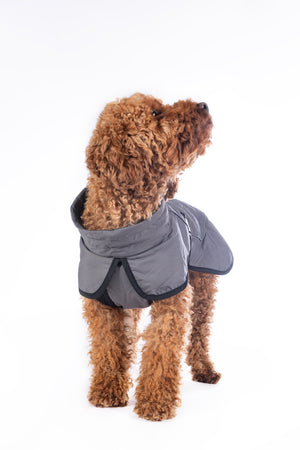 Dog coat -Buddy- with fleece lining 9300 deep grey / M