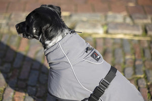 Dog coat -Buddy- with fleece lining 9300 deep grey / M