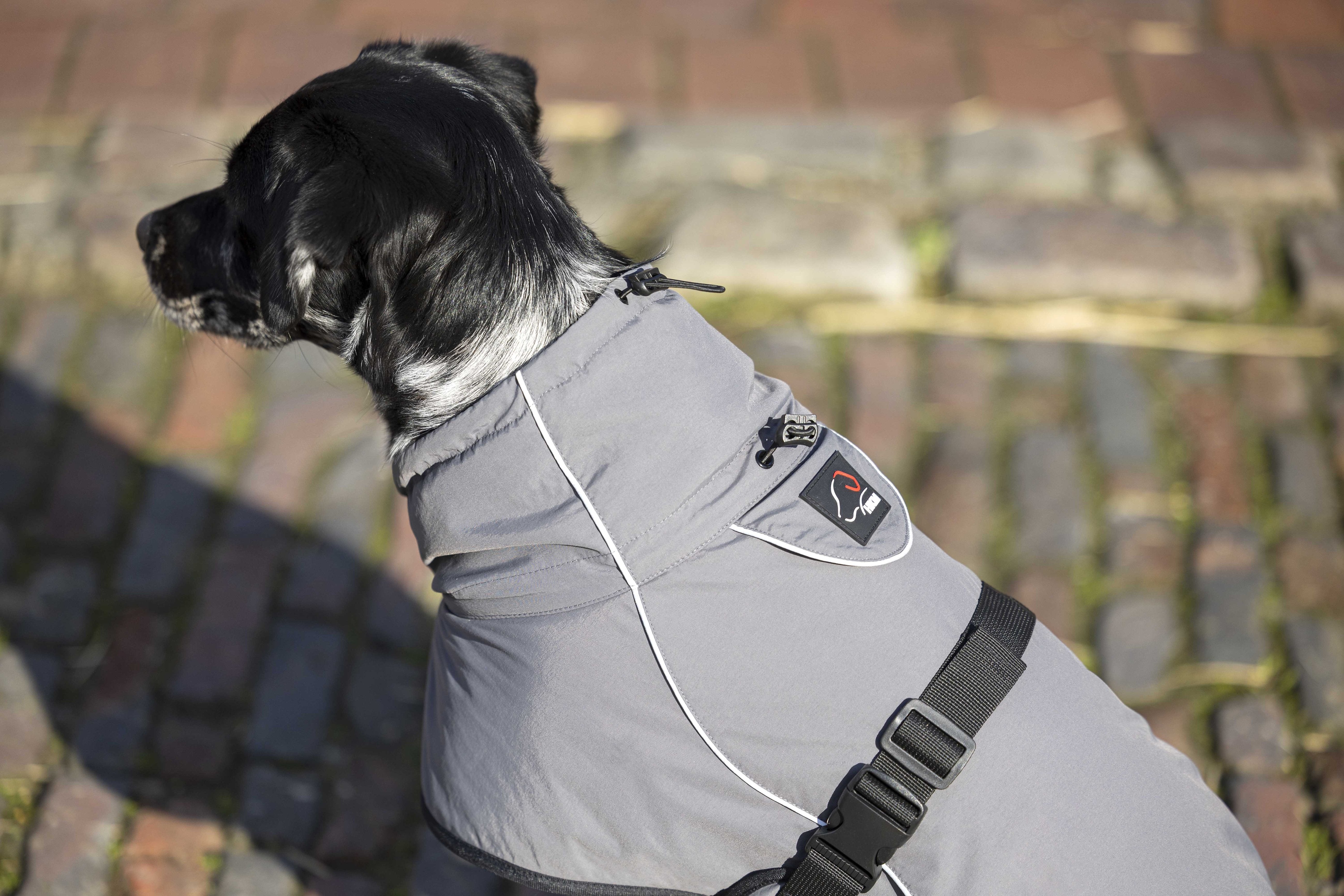 Dog coat -Buddy- with fleece lining 9300 deep grey / M