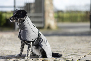 Dog coat -Buddy- with fleece lining 9300 deep grey / M