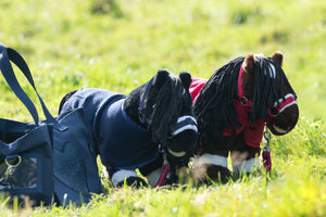 Starter set -Cuddle Pony- 6900 deep blue / pcs.