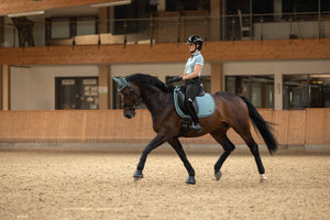 Polo shirt -Harbour Island- 5412 sage / XXL