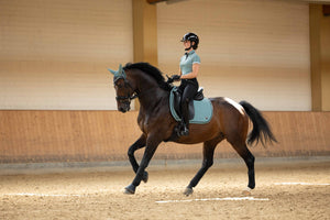 Polo shirt -Harbour Island- 5412 sage / XXL