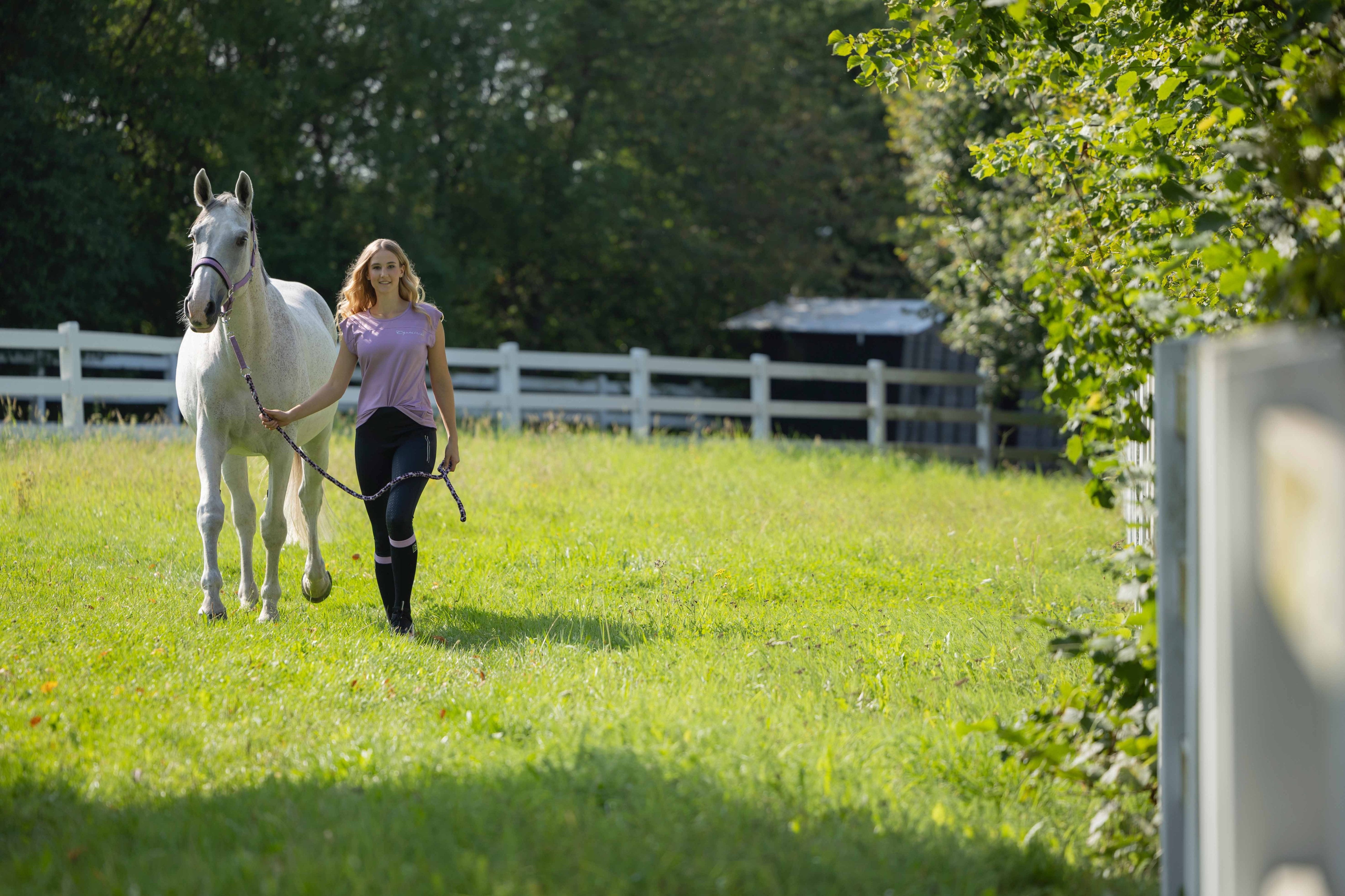 T-shirt -Harbour Island- 3700 light lilac / XXL