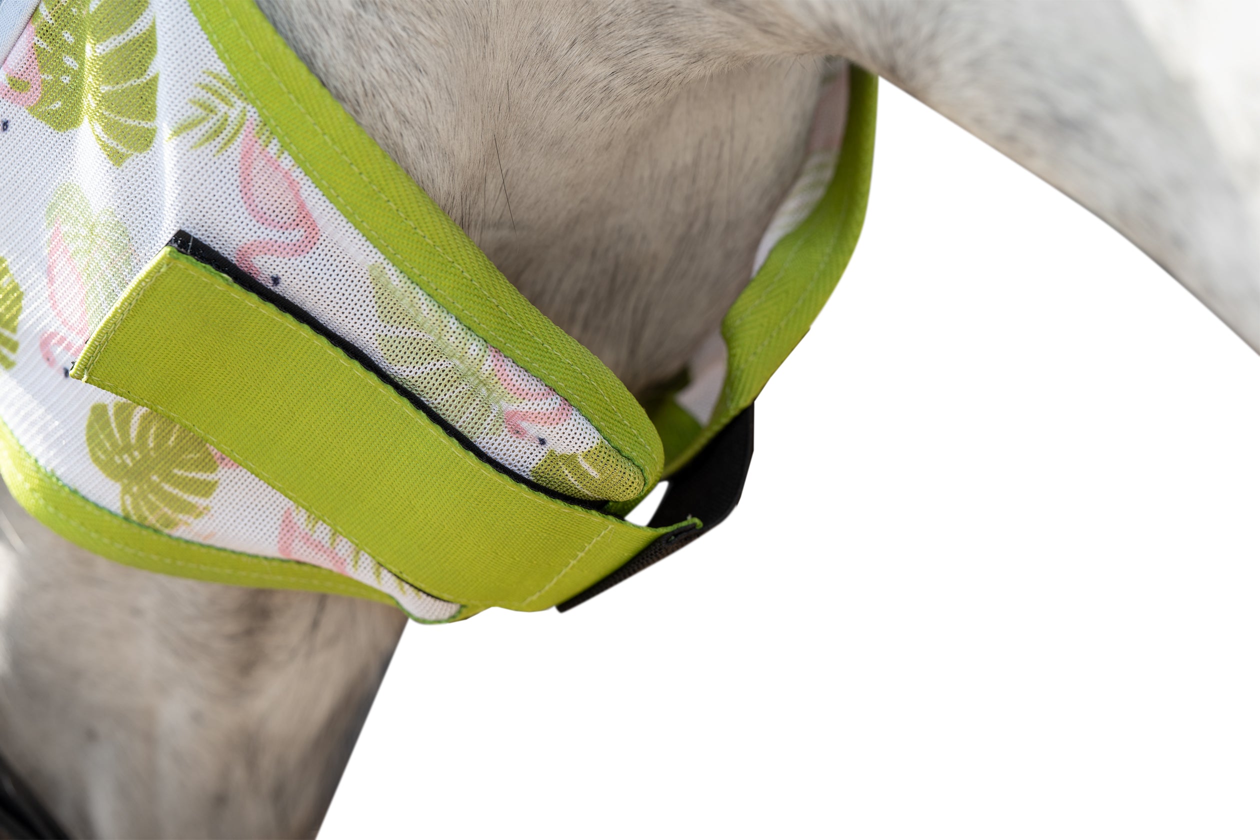 Anti-fly mask -Flamingo- 5839 green/pink / L