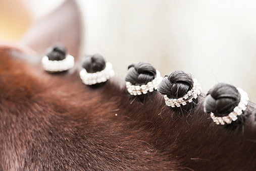 Mane decoration -Crystal- 1200 white / Set of 20