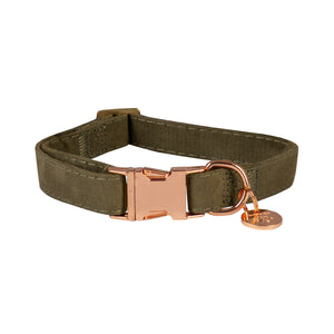 DOG COLLAR VELVET ESPRESSO / XS