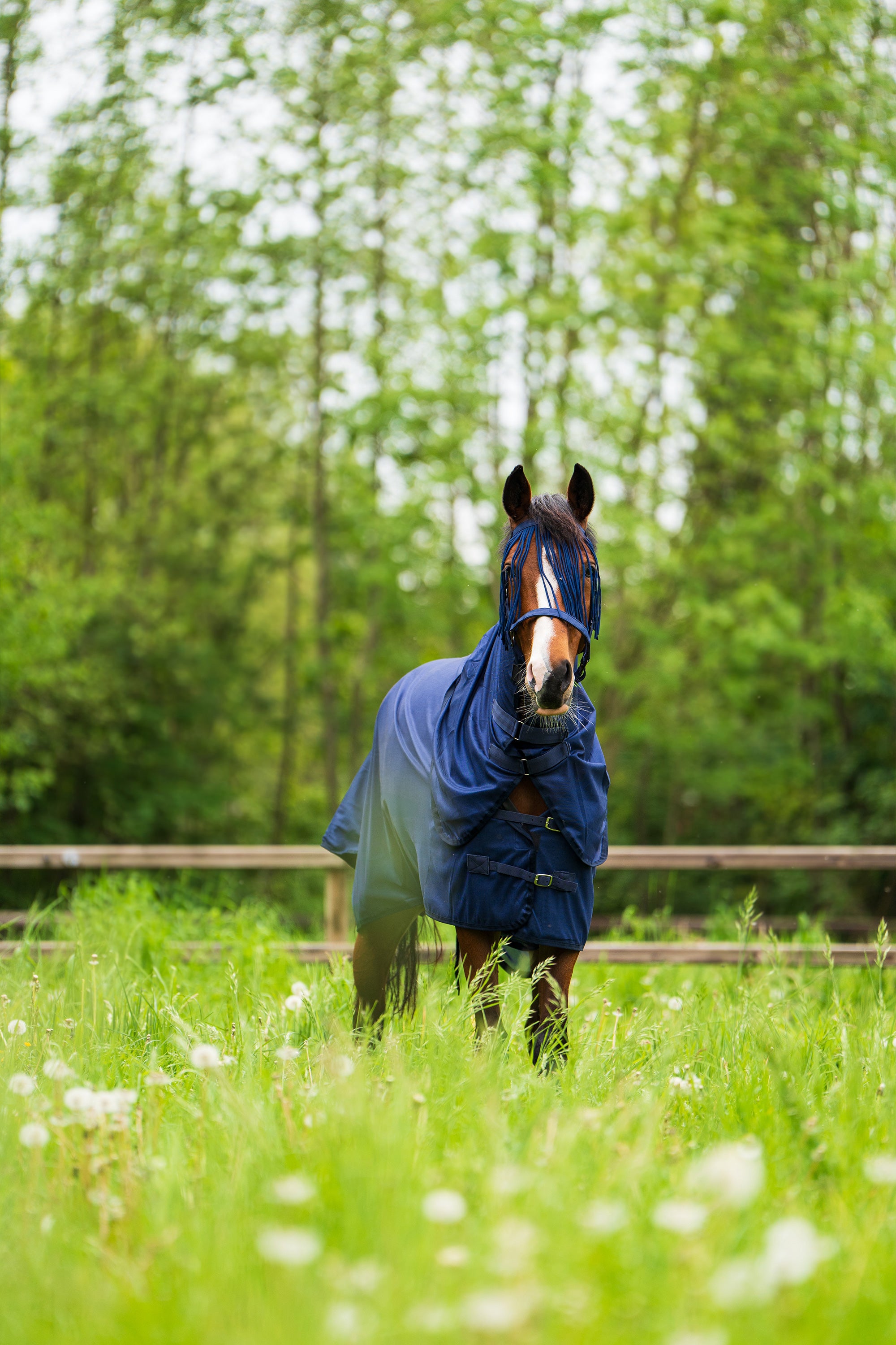 Fly blanket IRHReese Navy / 215