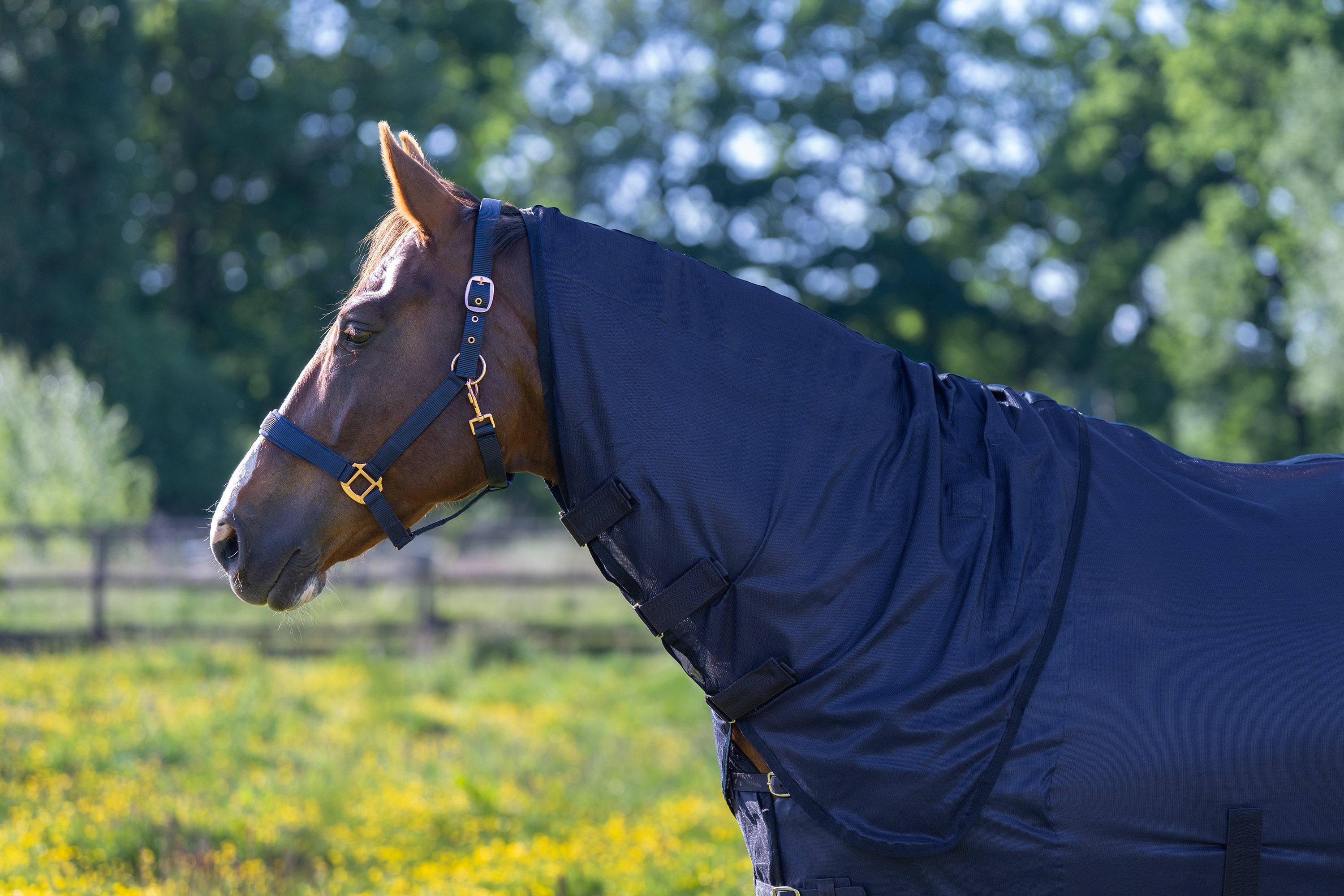 Fly blanket IRHReese Navy / 215
