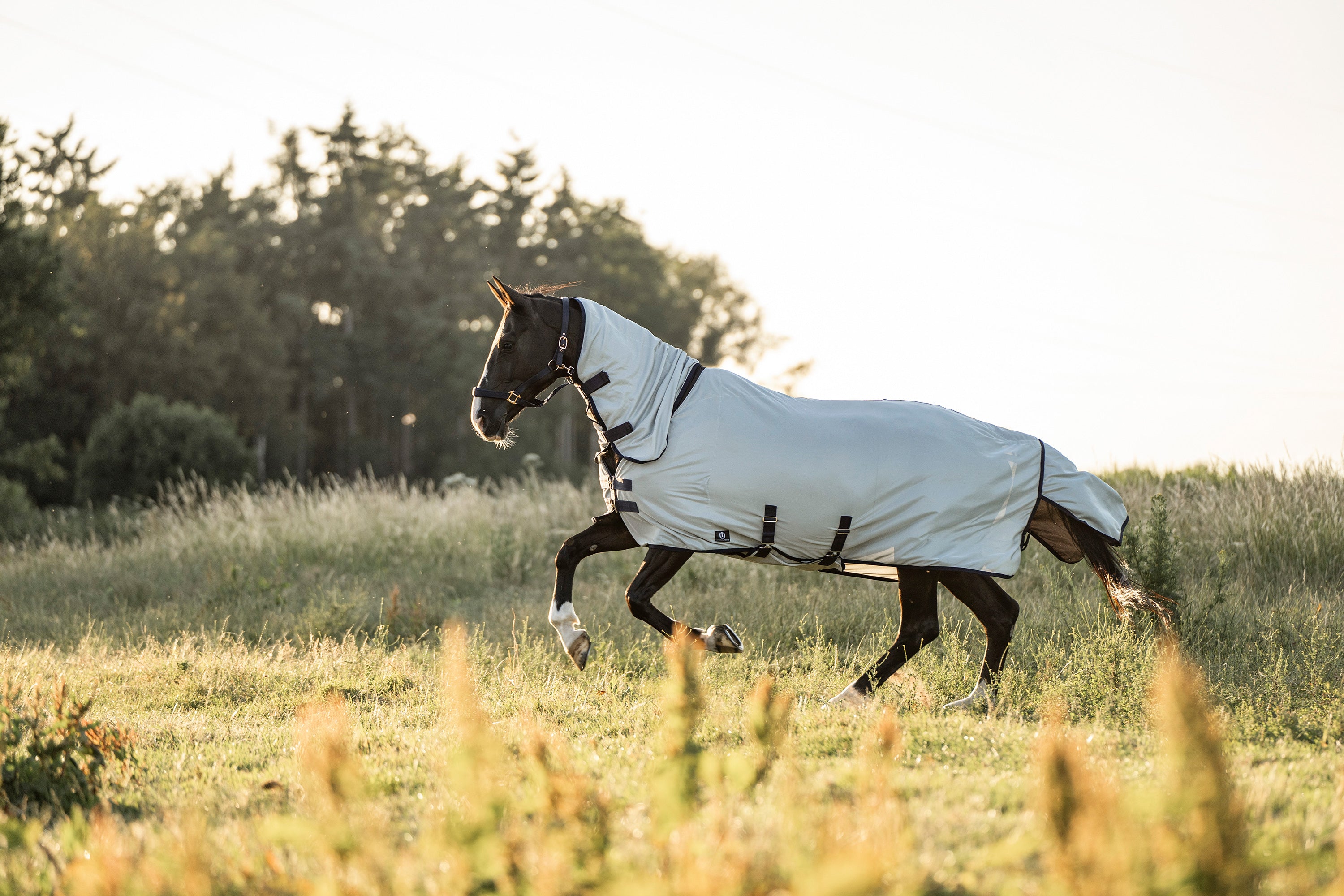 Fly blanket IRHReese Silvergrey / 215