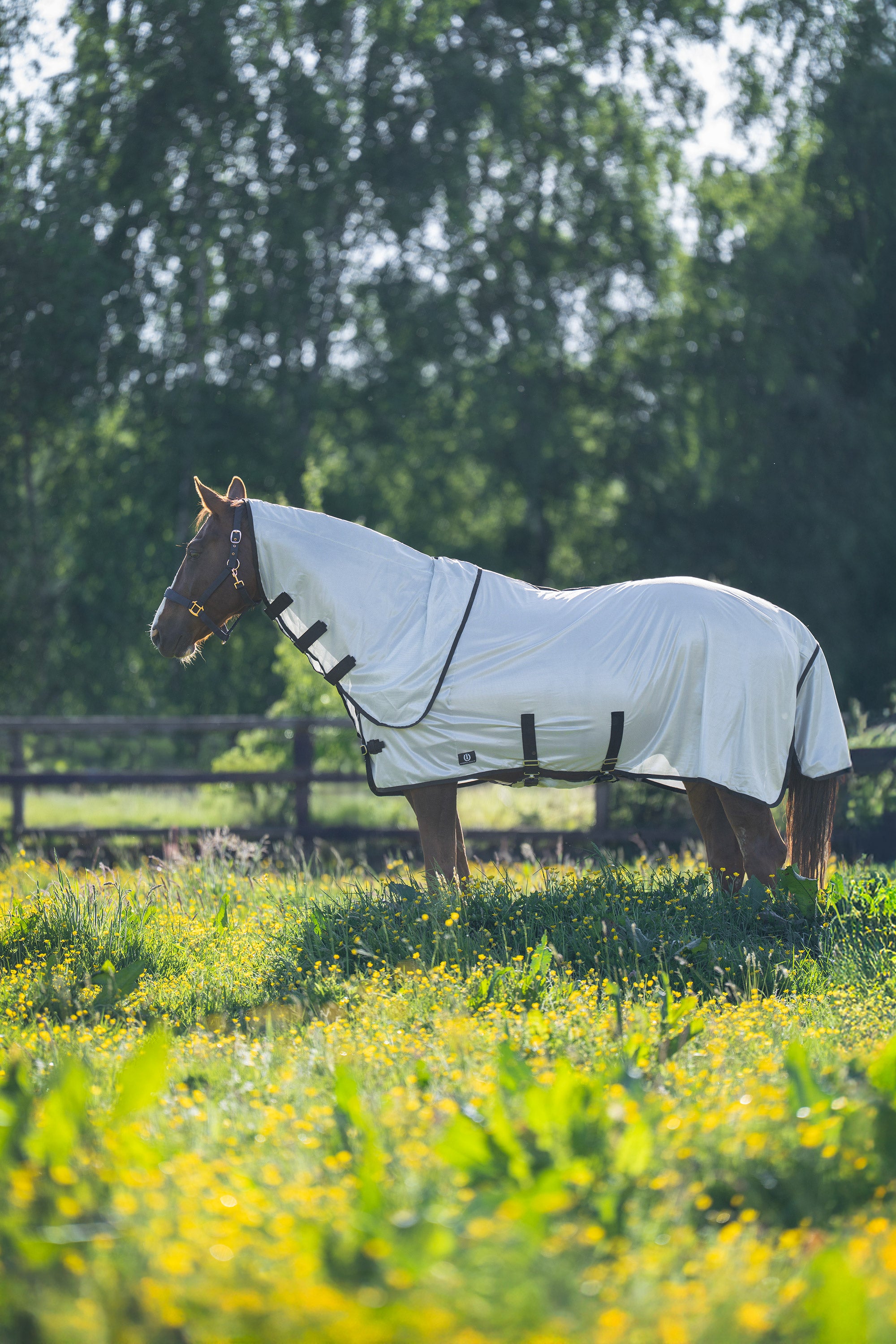 Fly blanket IRHReese Silvergrey / 215