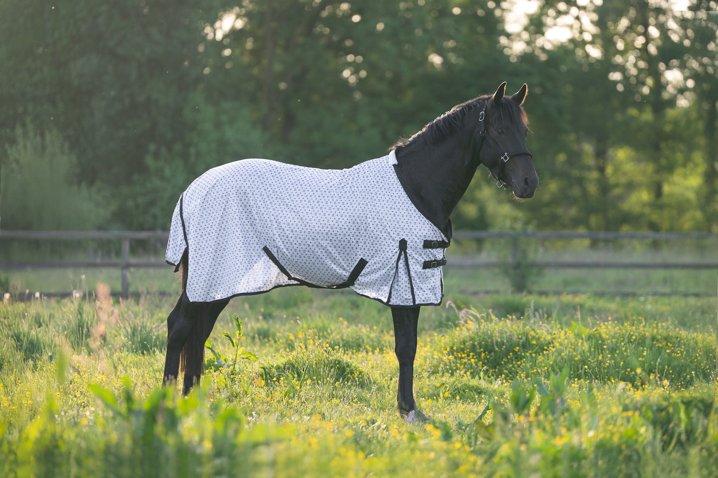 Fly blanket IRHCarlys Ballerina AOP / 215