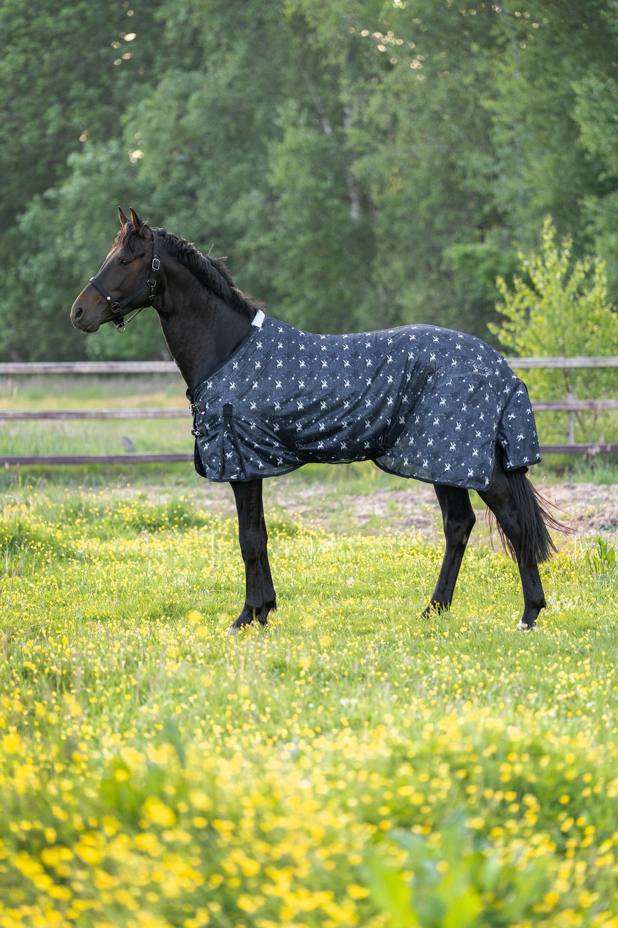 Fly blanket IRHCarlys Grey Pixie Dust AOP / 215
