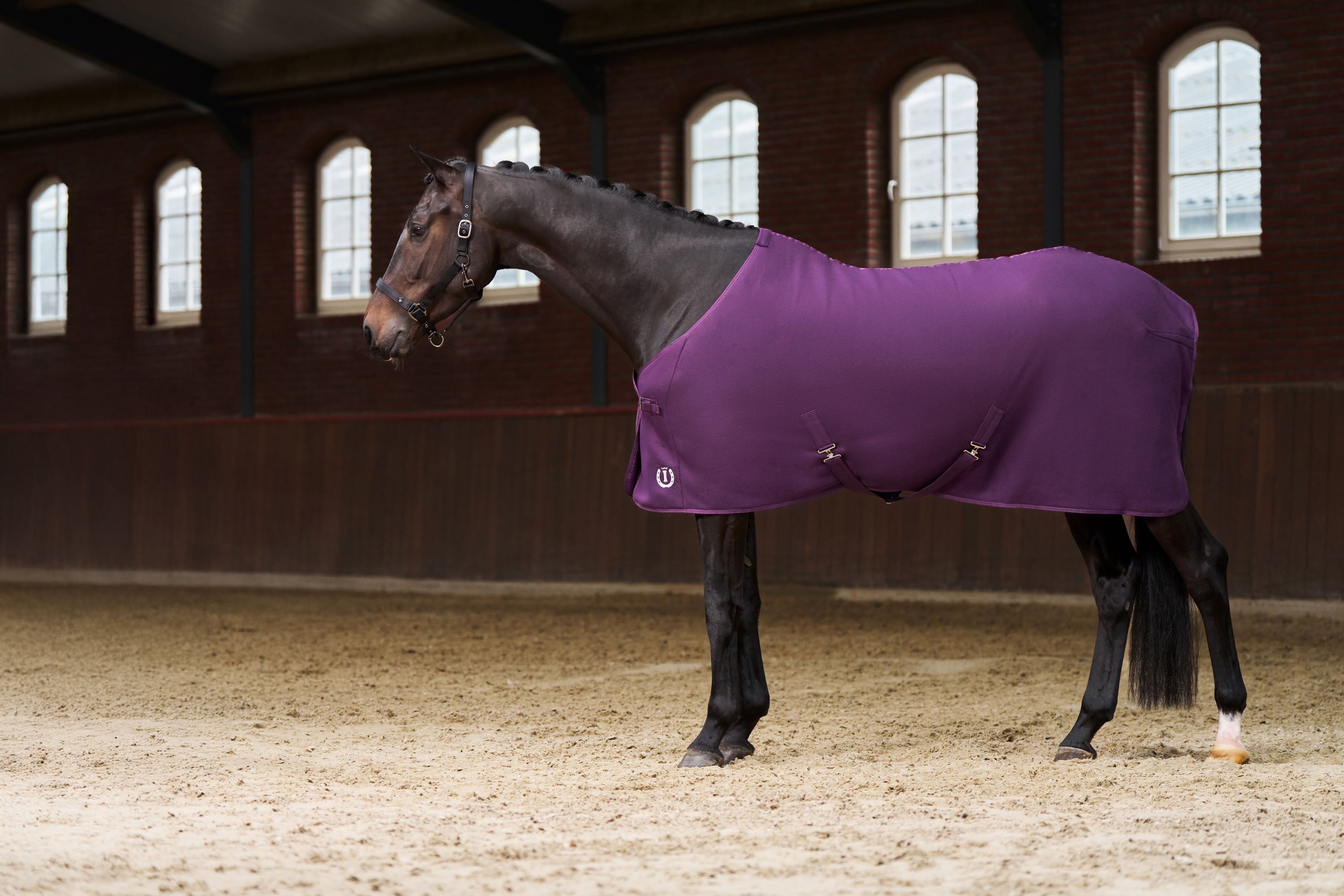 Fleece blanket IRHFundamental Fig / 215