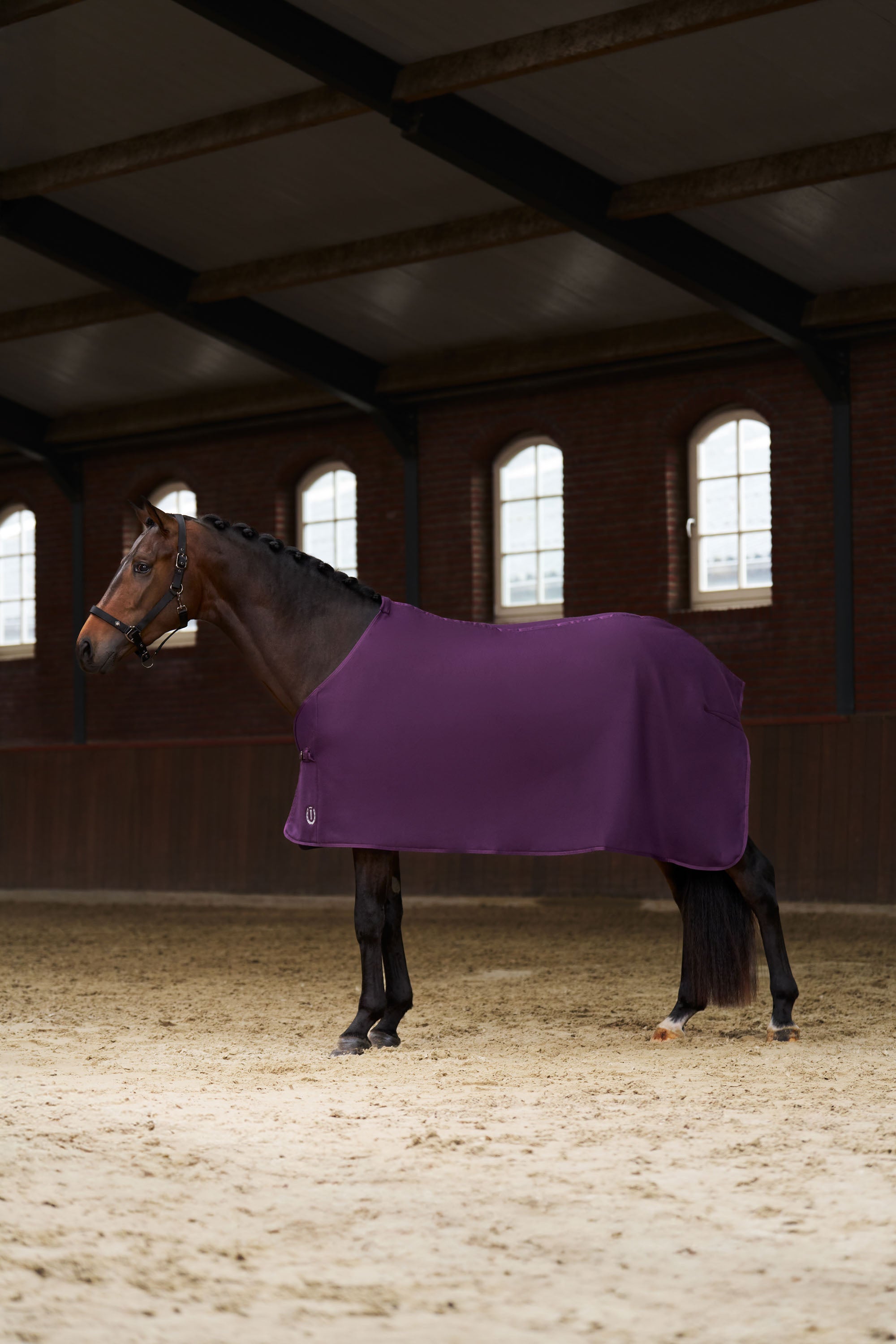 Fleece blanket IRHFundamental Basic Fig / 215