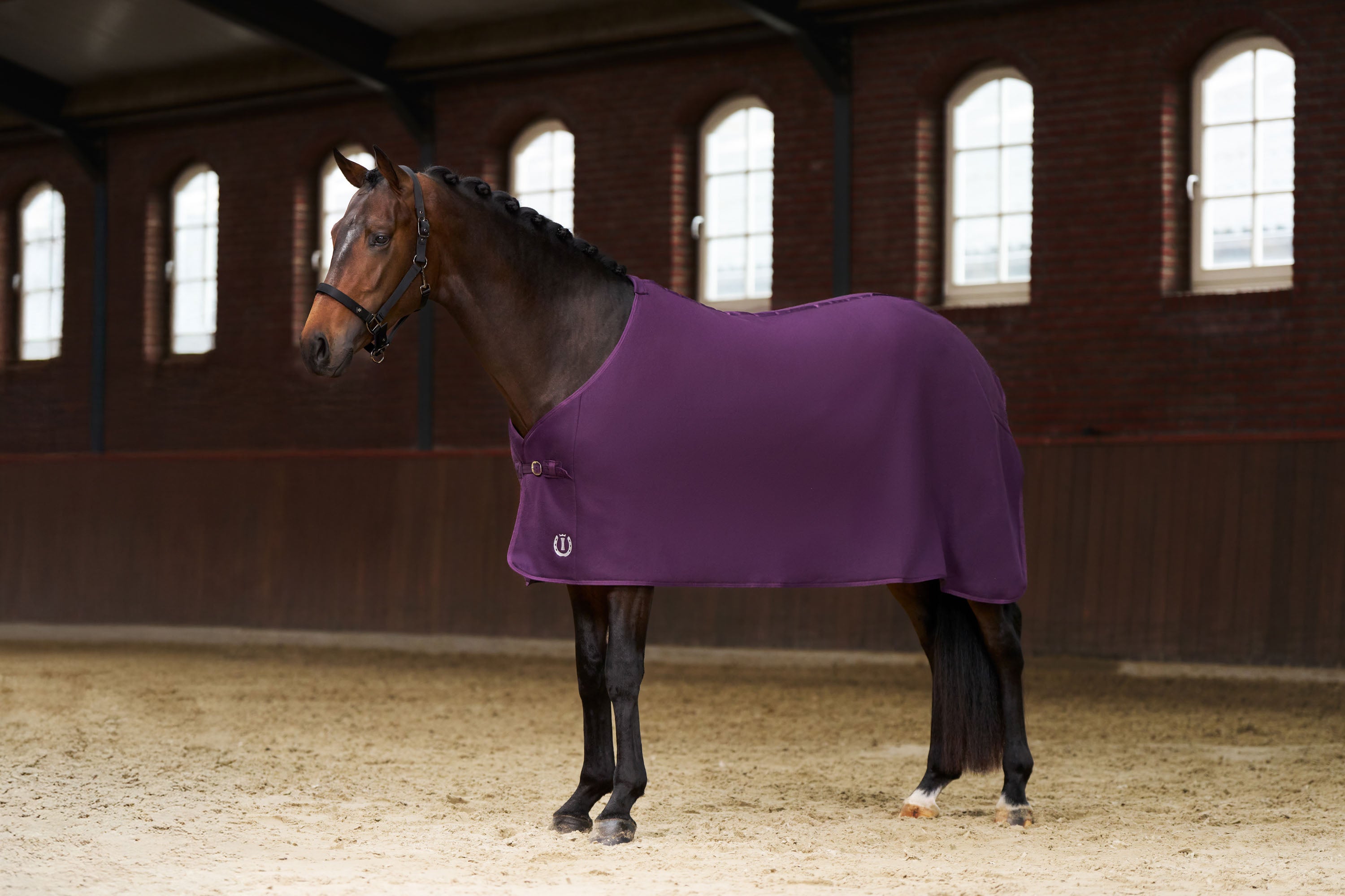 Fleece blanket IRHFundamental Basic Fig / 215
