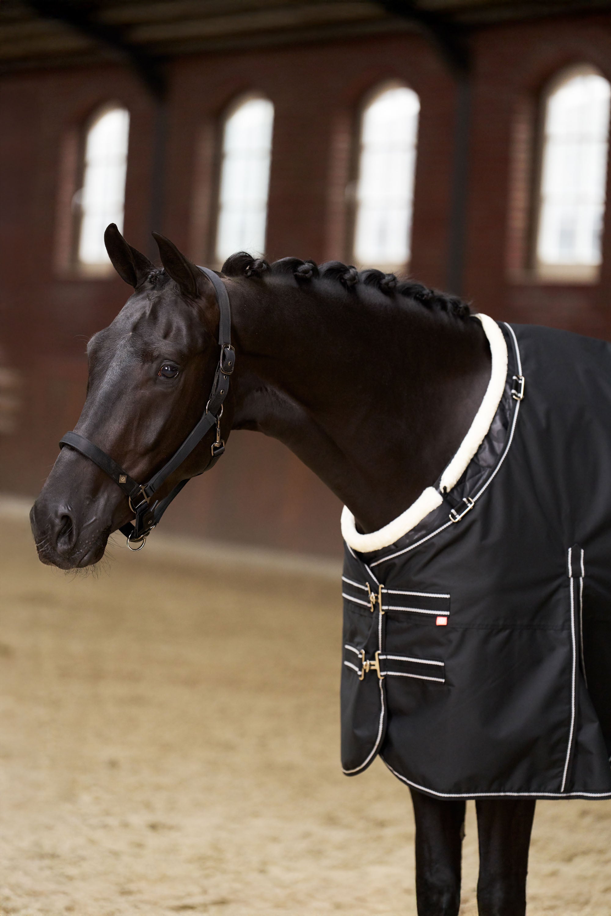 Chest guard IRHSuper-dry Black / C/S