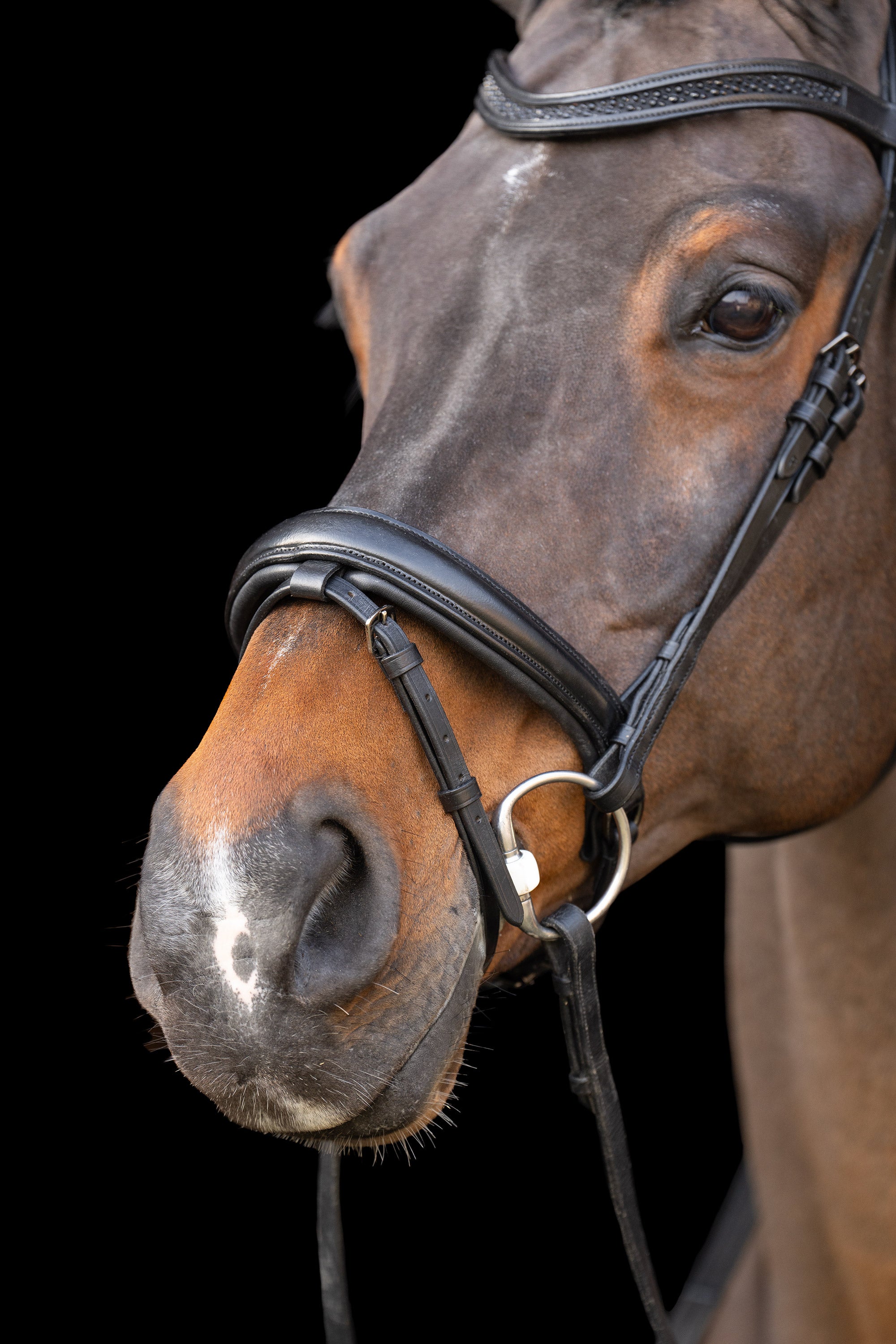 Snaffle bridle with English noseband IRH Black-Black / SH/S