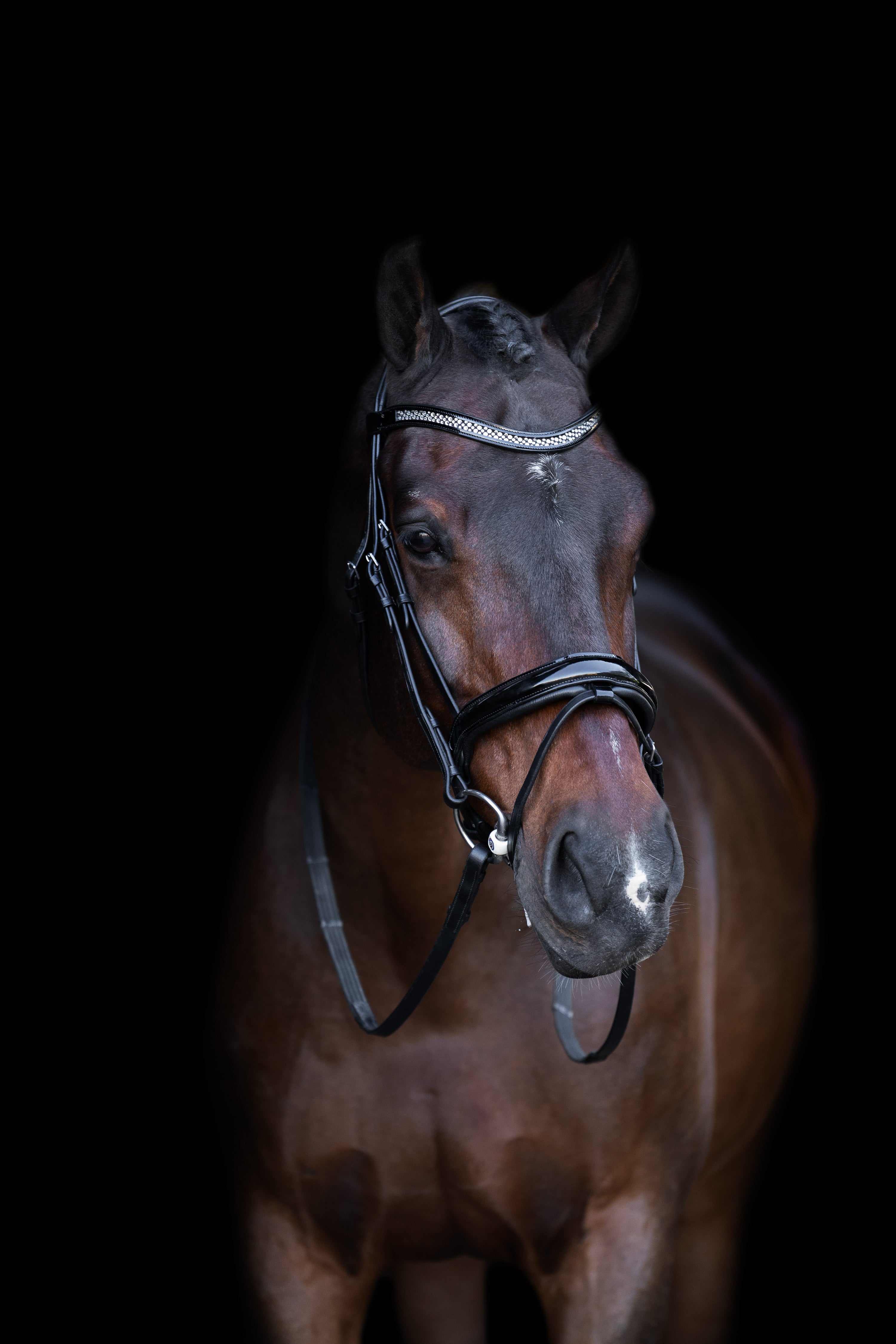 Snaffle bridle with English noseband IRH Black-Crystal / SH/S
