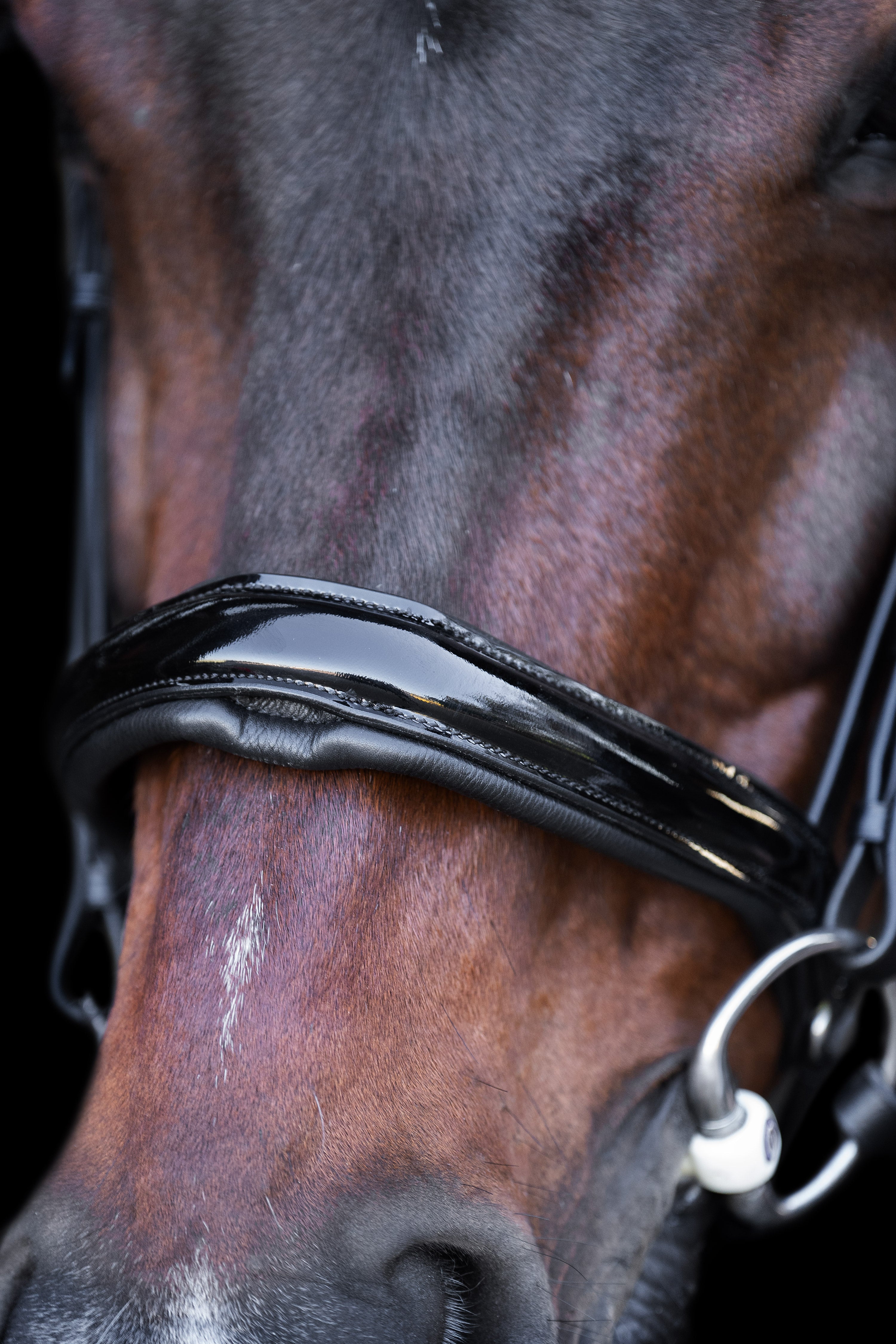 Snaffle bridle with English noseband IRH Black-Crystal / SH/S