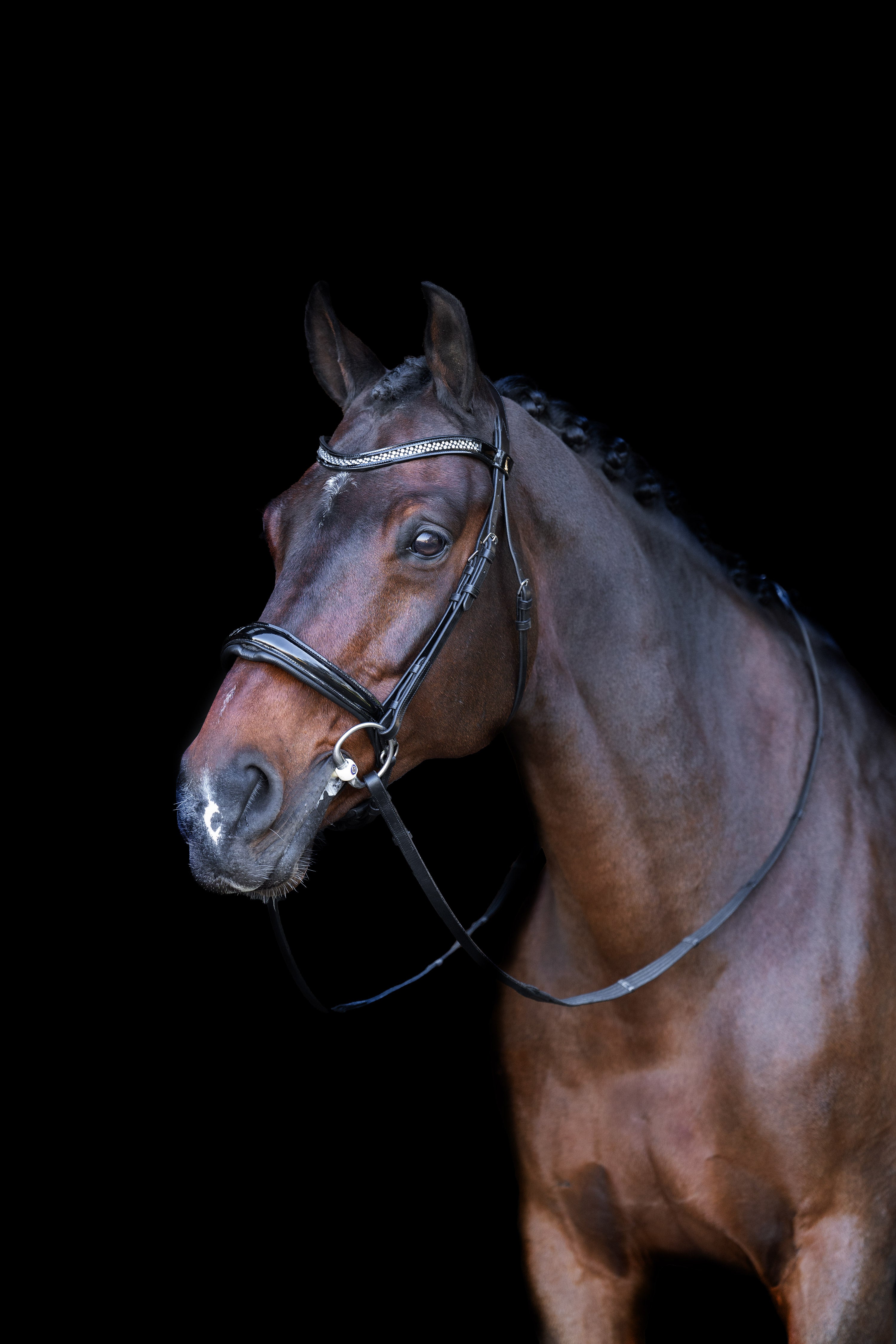 Snaffle bridle with English noseband IRH Black-Crystal / SH/S