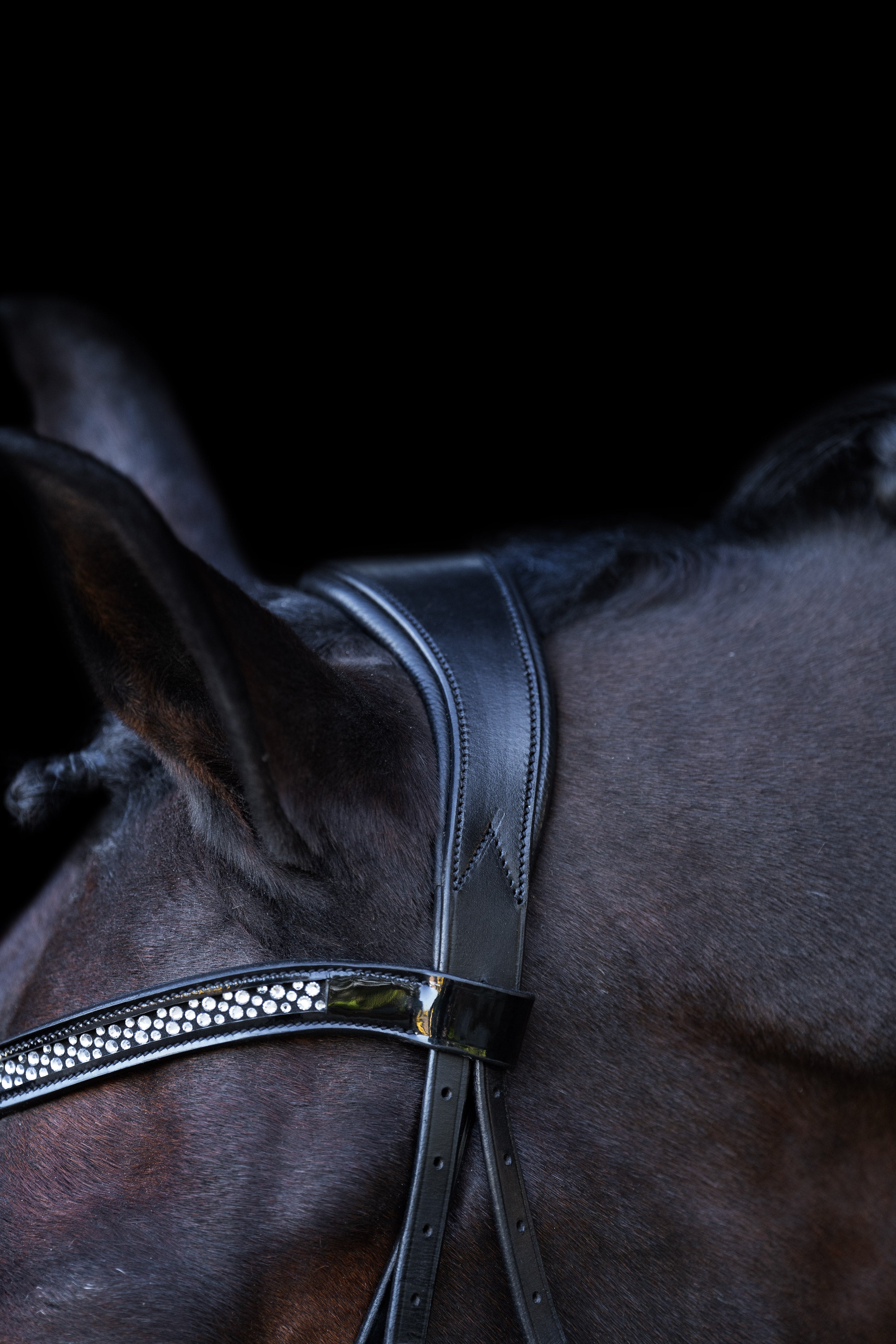 Snaffle bridle with English noseband IRH Black-Crystal / SH/S