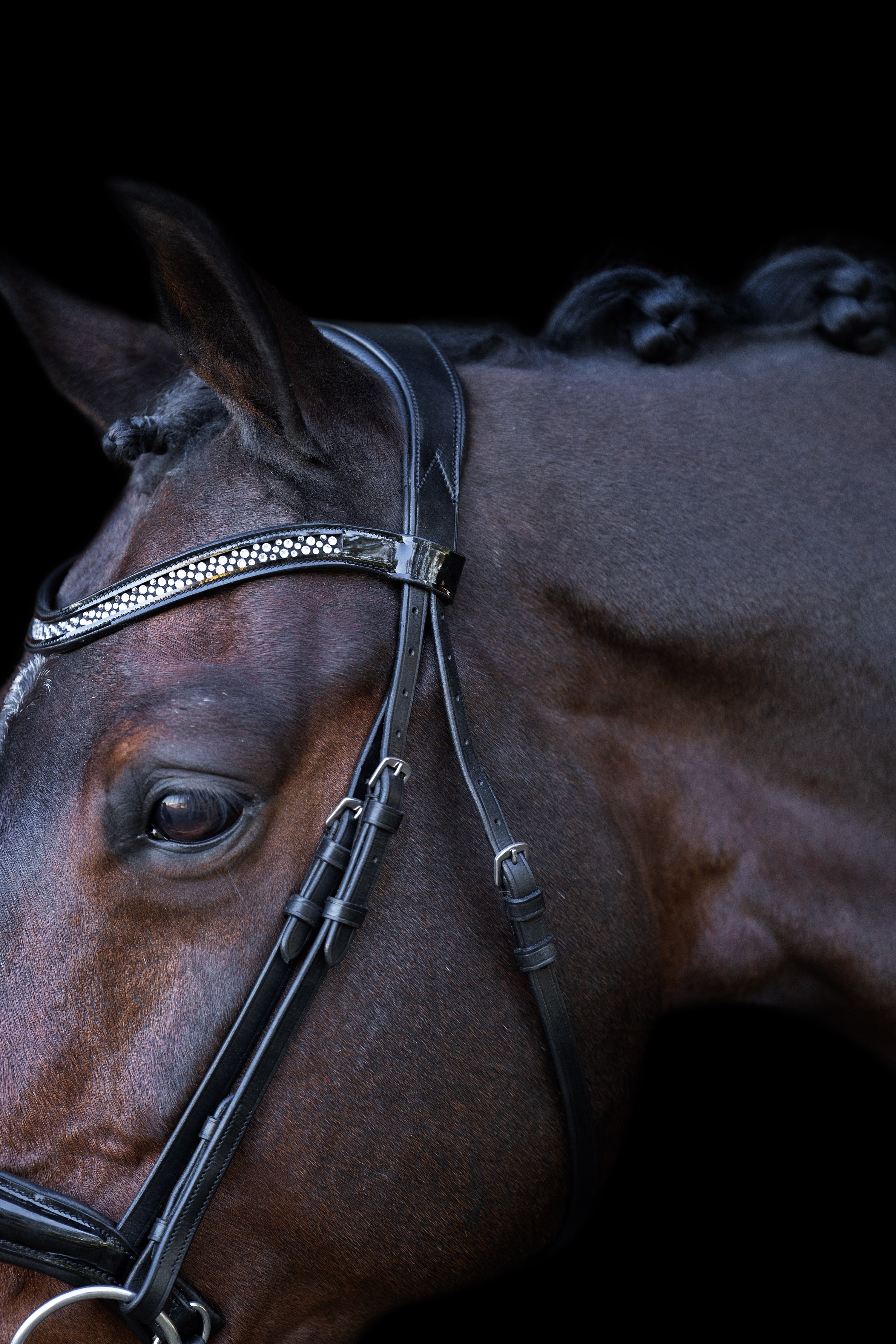 Snaffle bridle with English noseband IRH Black-Crystal / SH/S