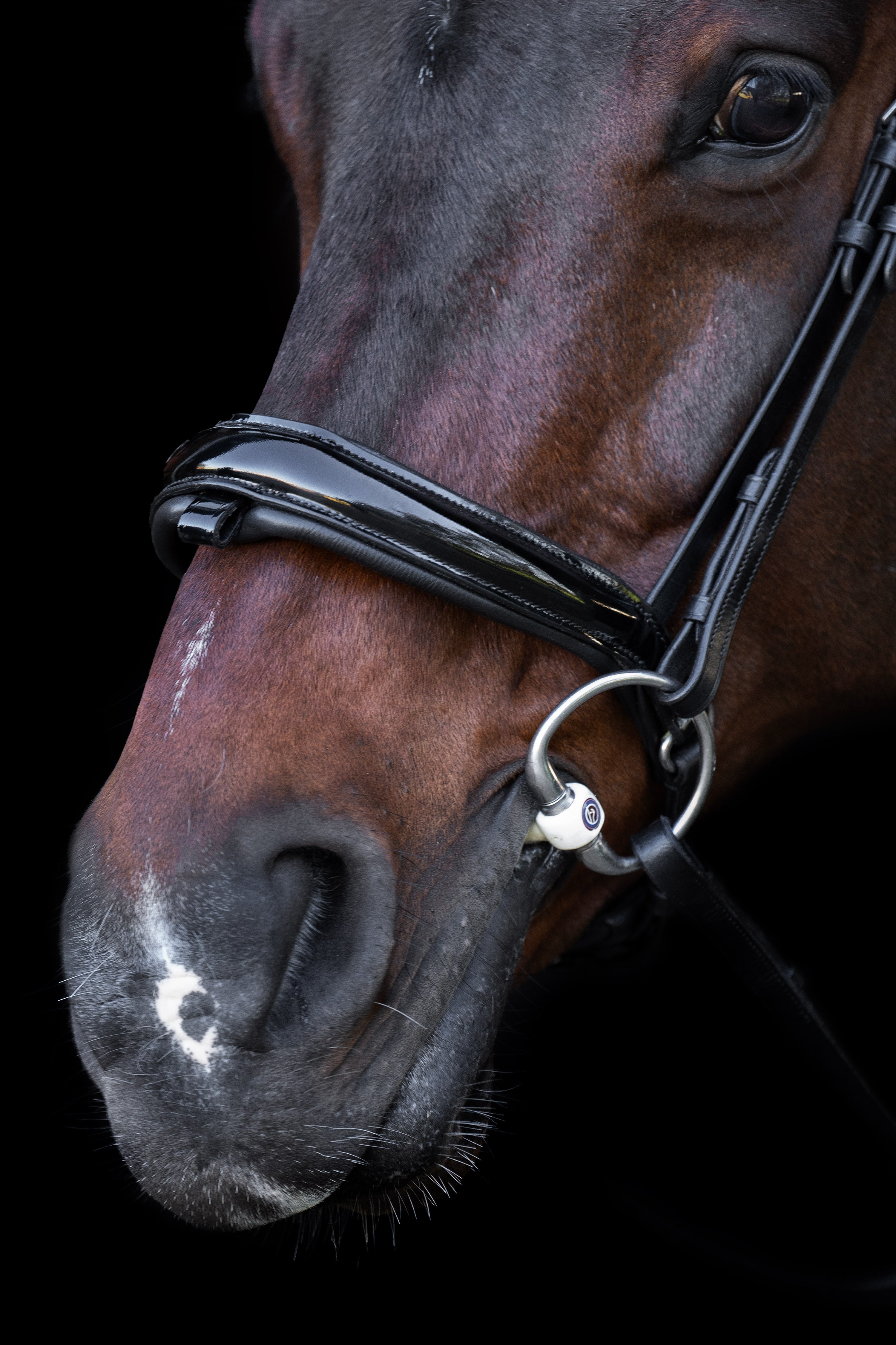 Snaffle bridle with English noseband IRH Black-Crystal / SH/S