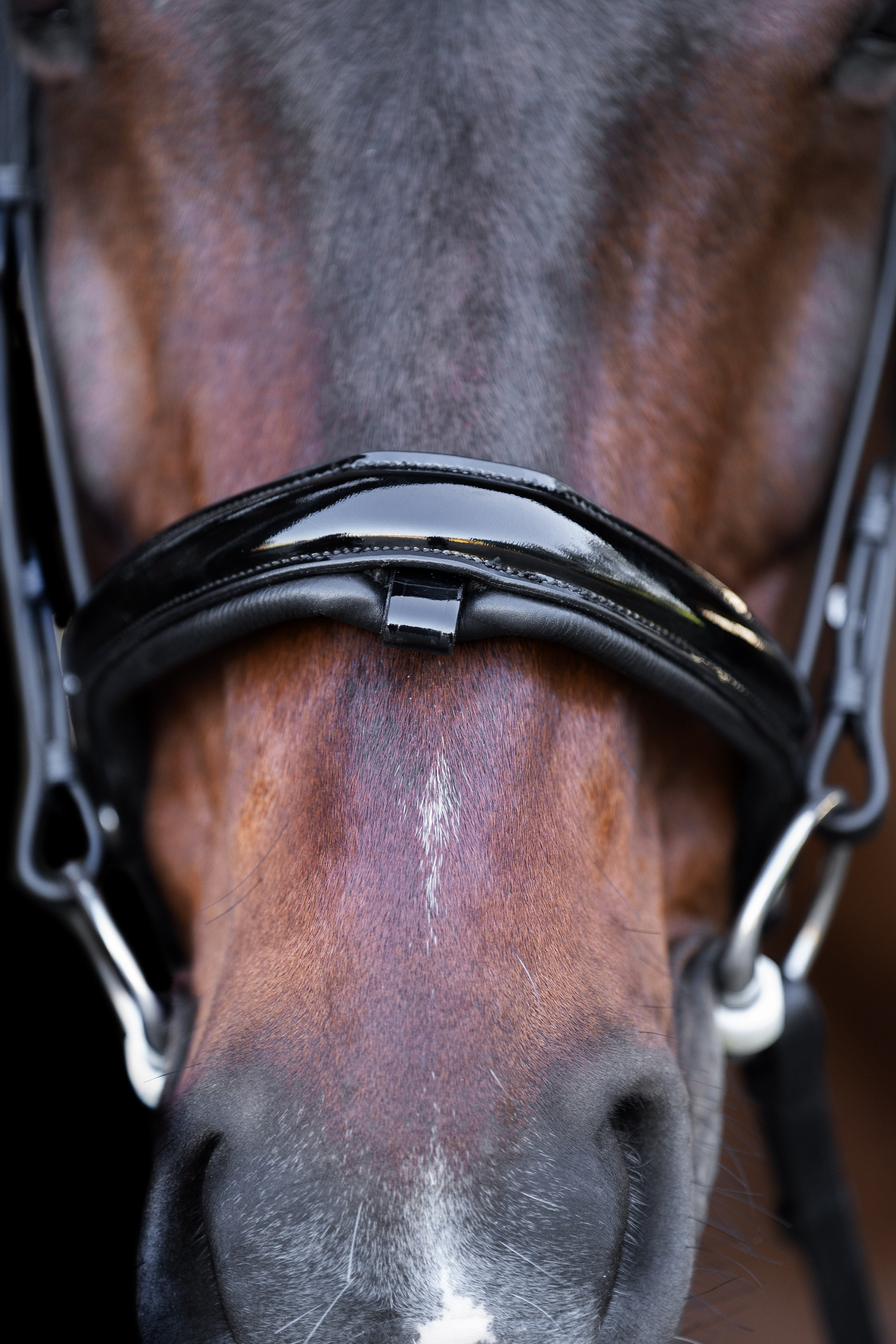 Snaffle bridle with English noseband IRH Black-Crystal / SH/S
