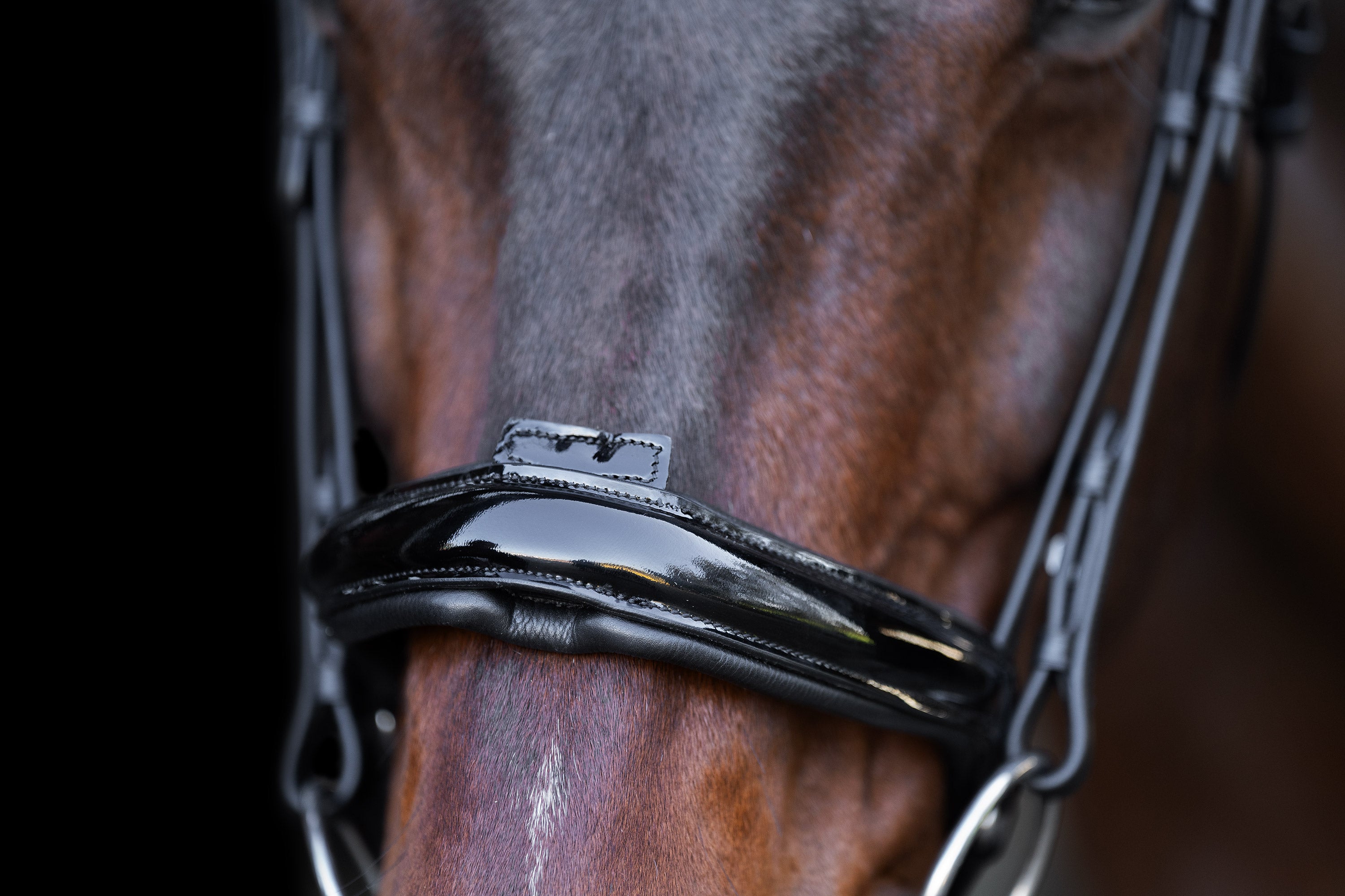 Snaffle bridle with English noseband IRH Black-Crystal / SH/S