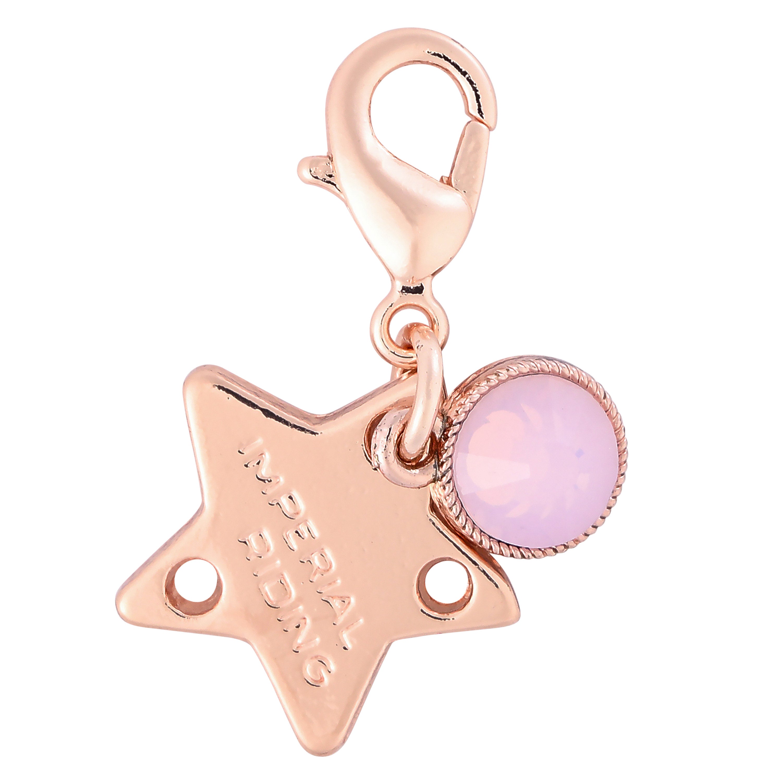 Bridle Charms IRHBirthstone rosegold, set of 12 pcs Roségold / 1SIZE
