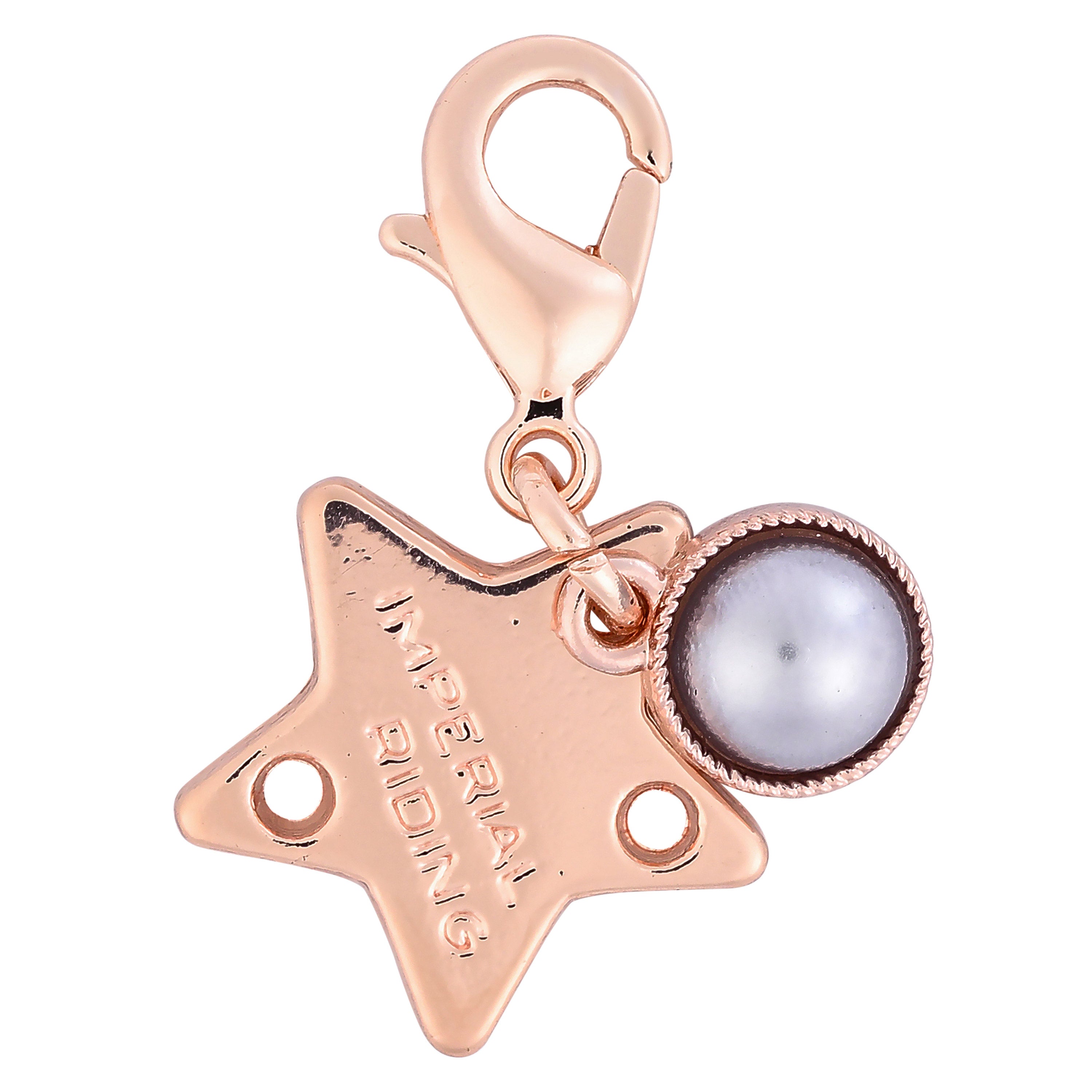 Bridle Charms IRHBirthstone rosegold, set of 12 pcs Roségold / 1SIZE