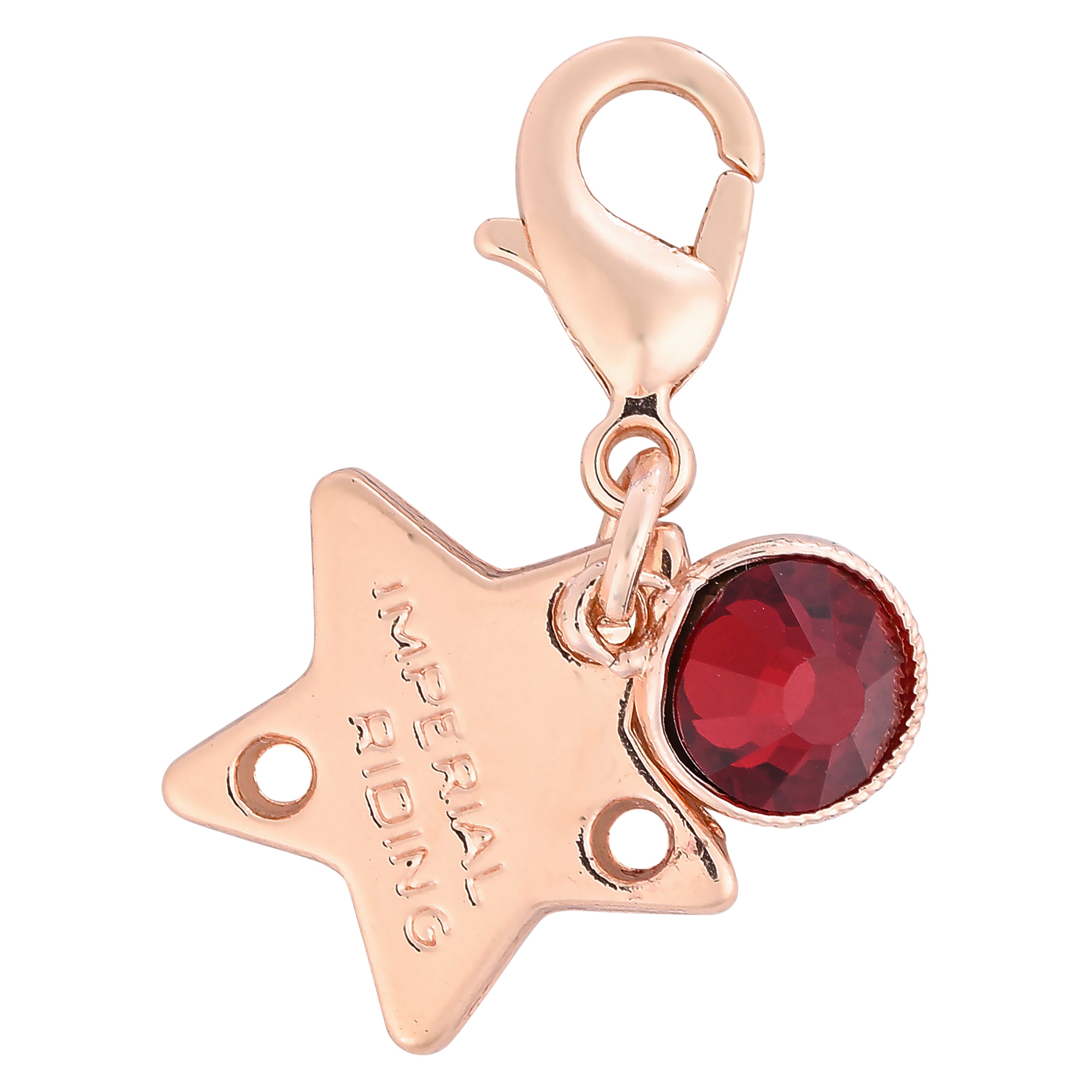 Bridle Charms IRHBirthstone rosegold, set of 12 pcs Roségold / 1SIZE