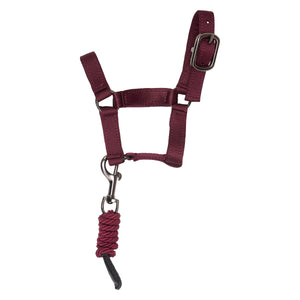 Toy set stable IRHPetit Fig / 1SIZE