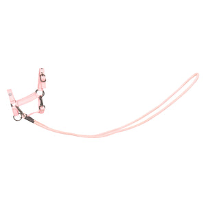 Hobby Horse headcollar Free Ride IRHFree Spirit Light Pink / 1SIZE