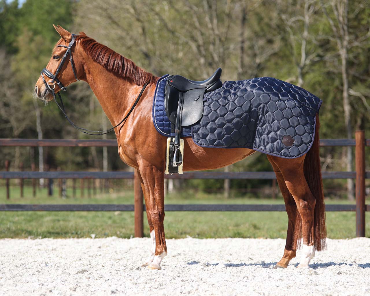 Quarter rug Classy Navy / S