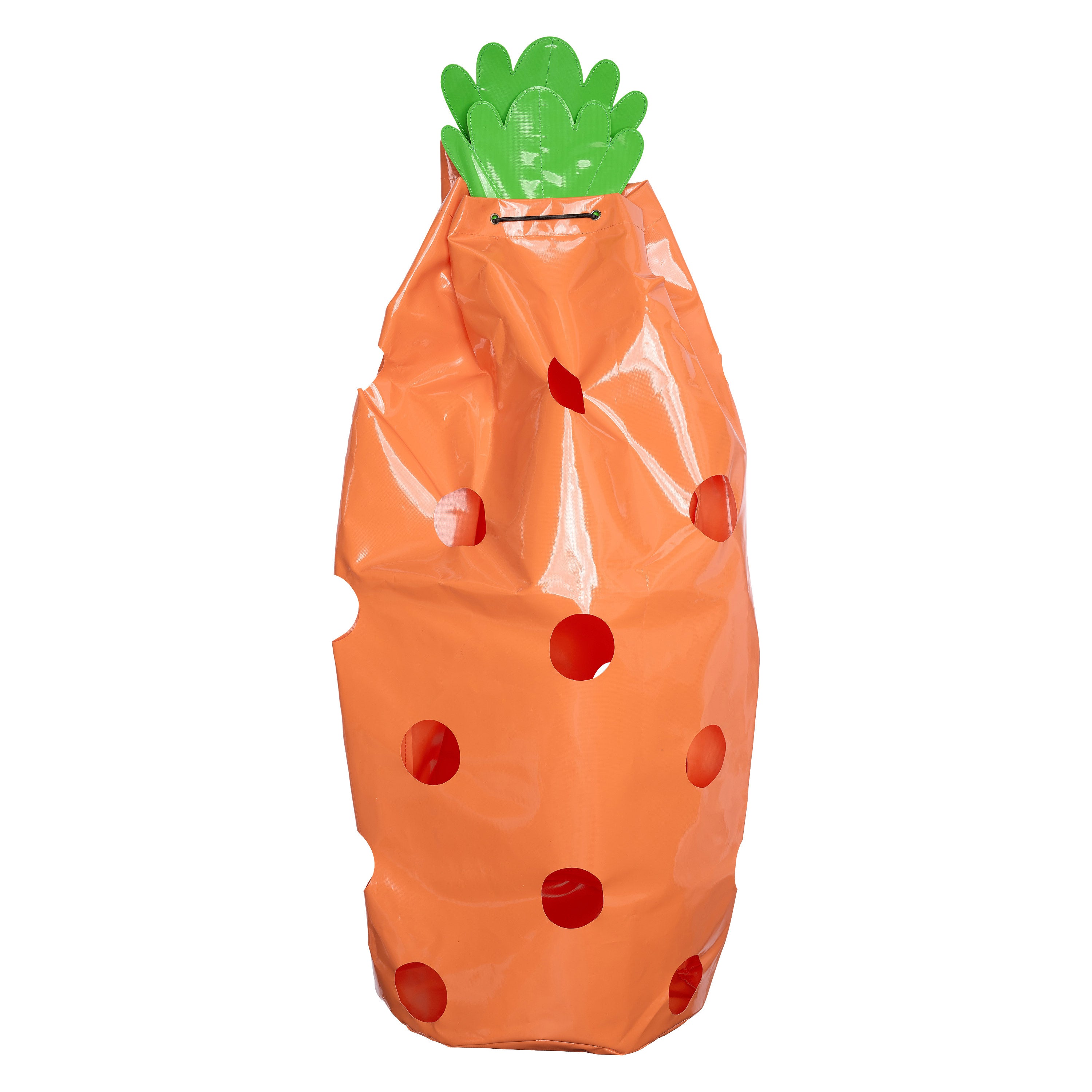 Hay bag IRHCarrot