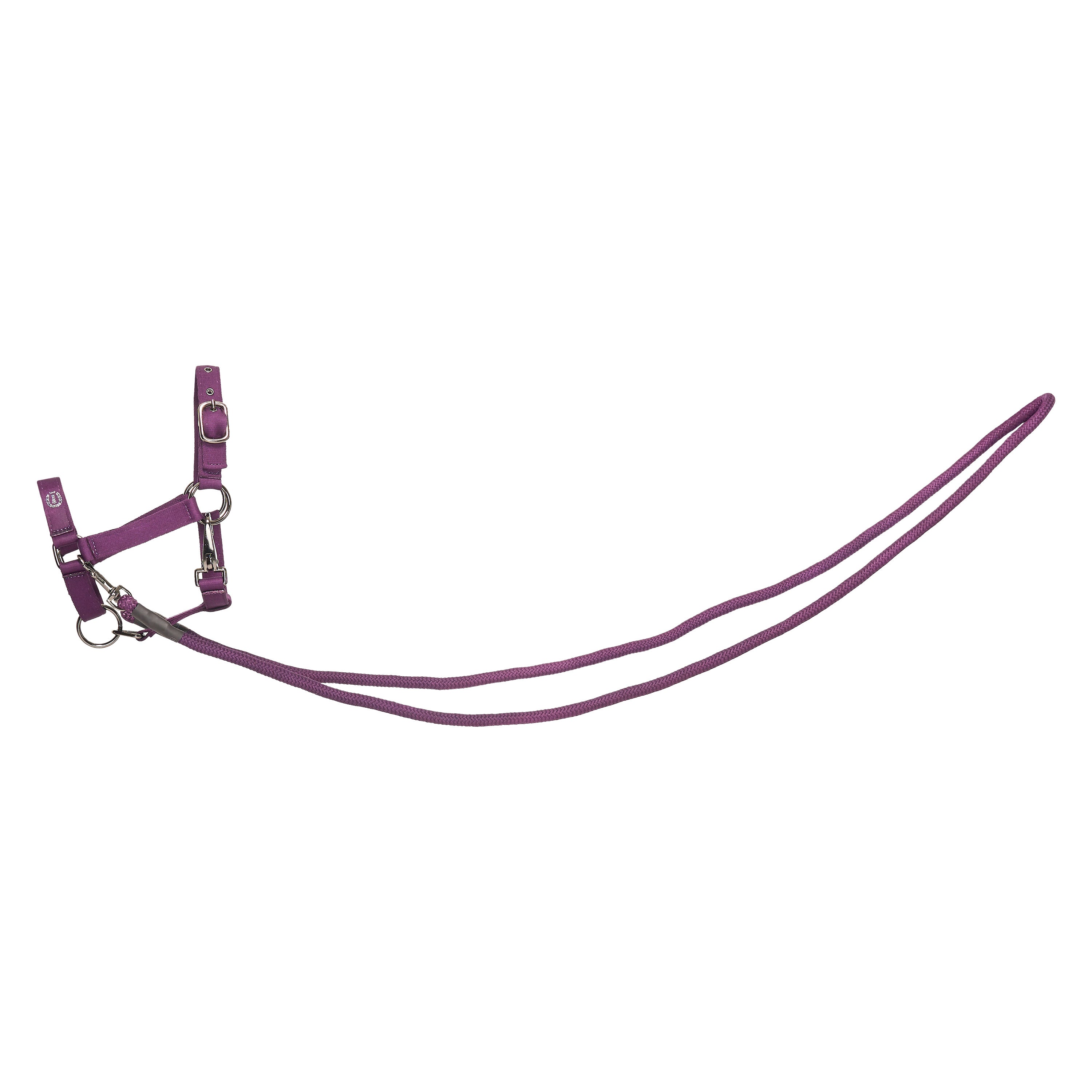 Hobby Horse headcollar Free Ride IRHFree Spirit