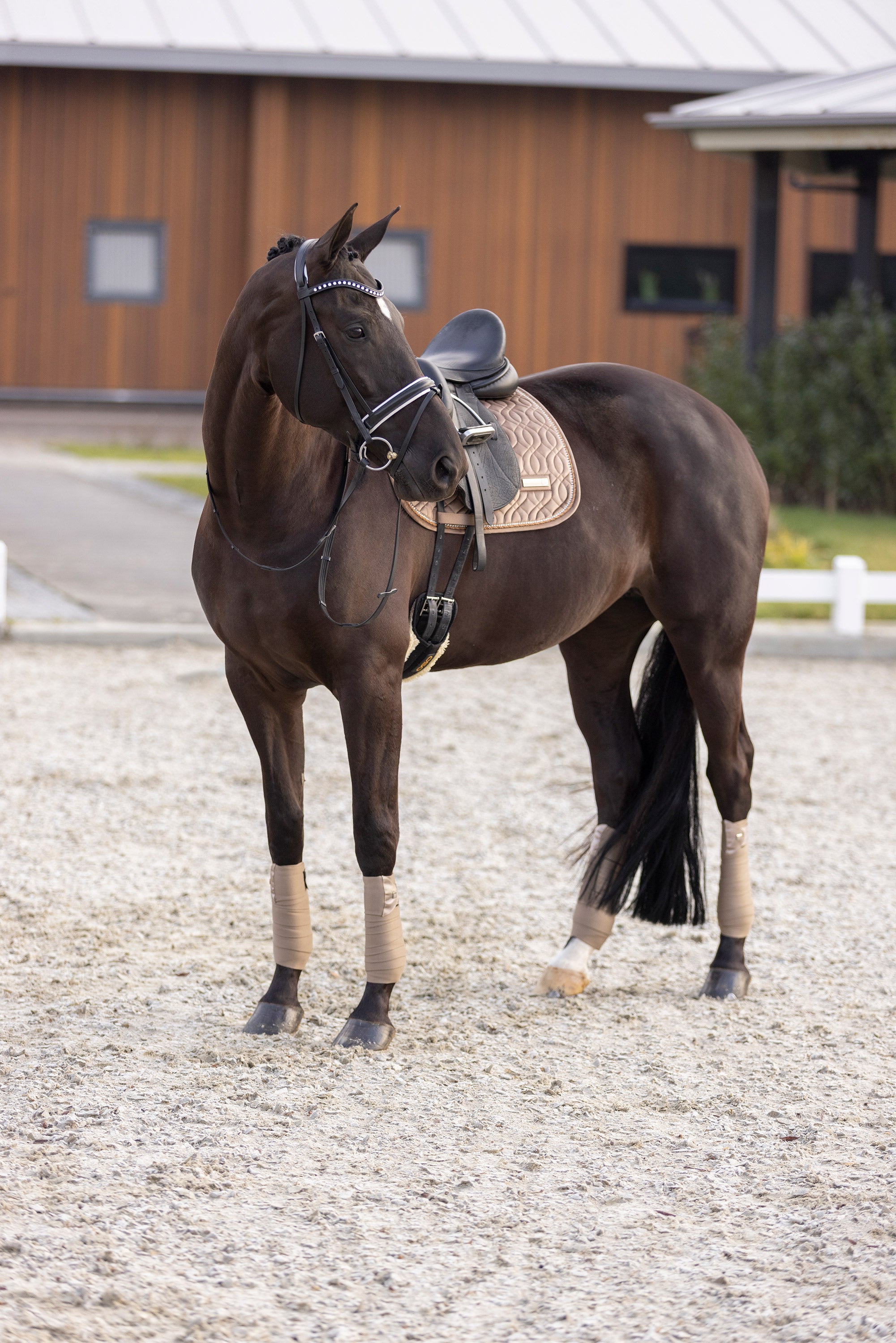 Saddlepad IRHSky GP