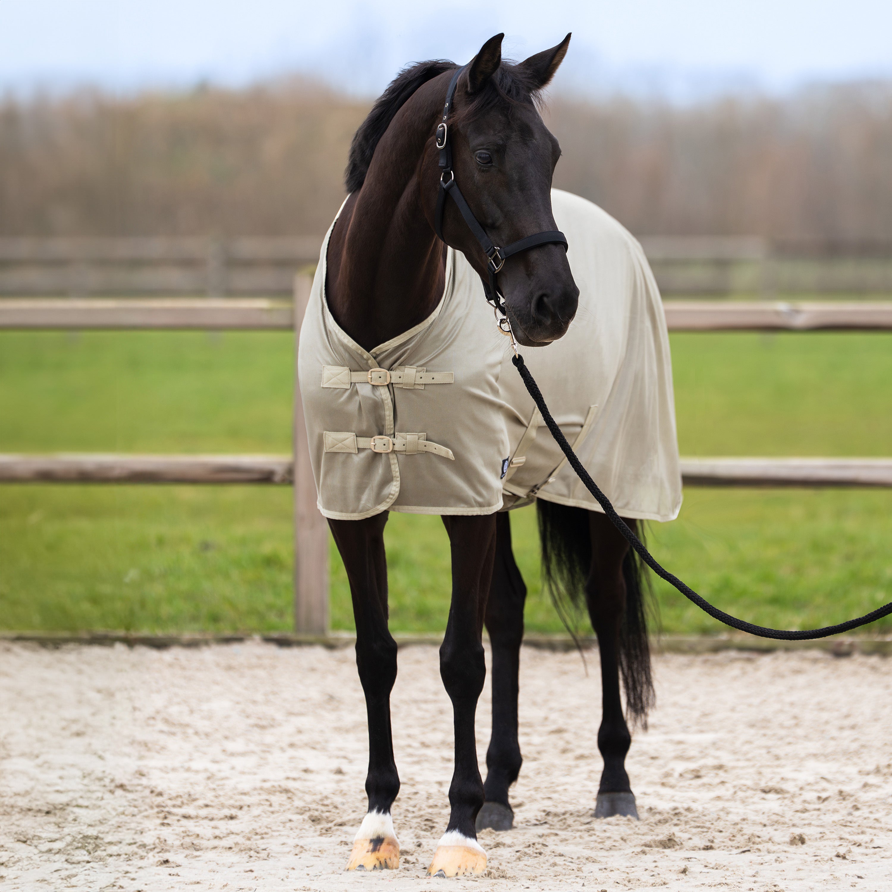 Fly blanket IRHReese