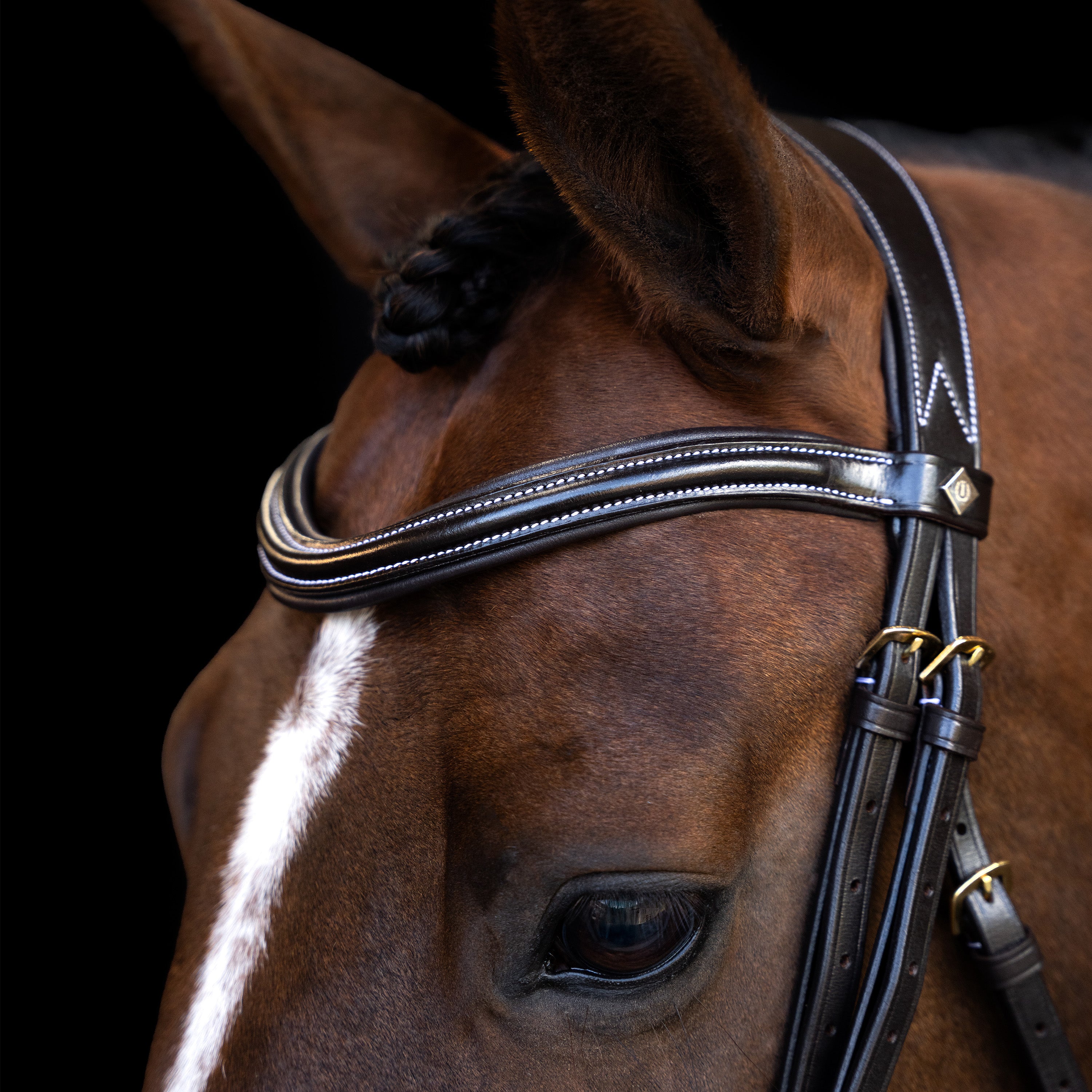 Bridle IRH with curved cut English noseband