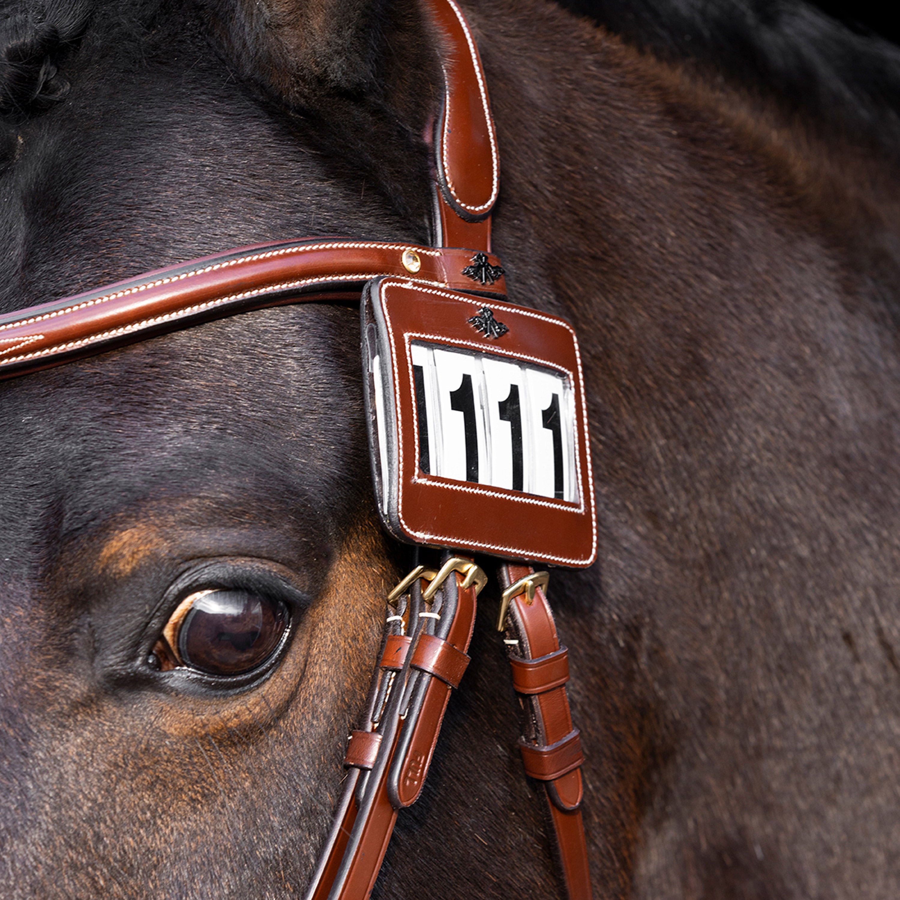 Competition number HVPLegacy