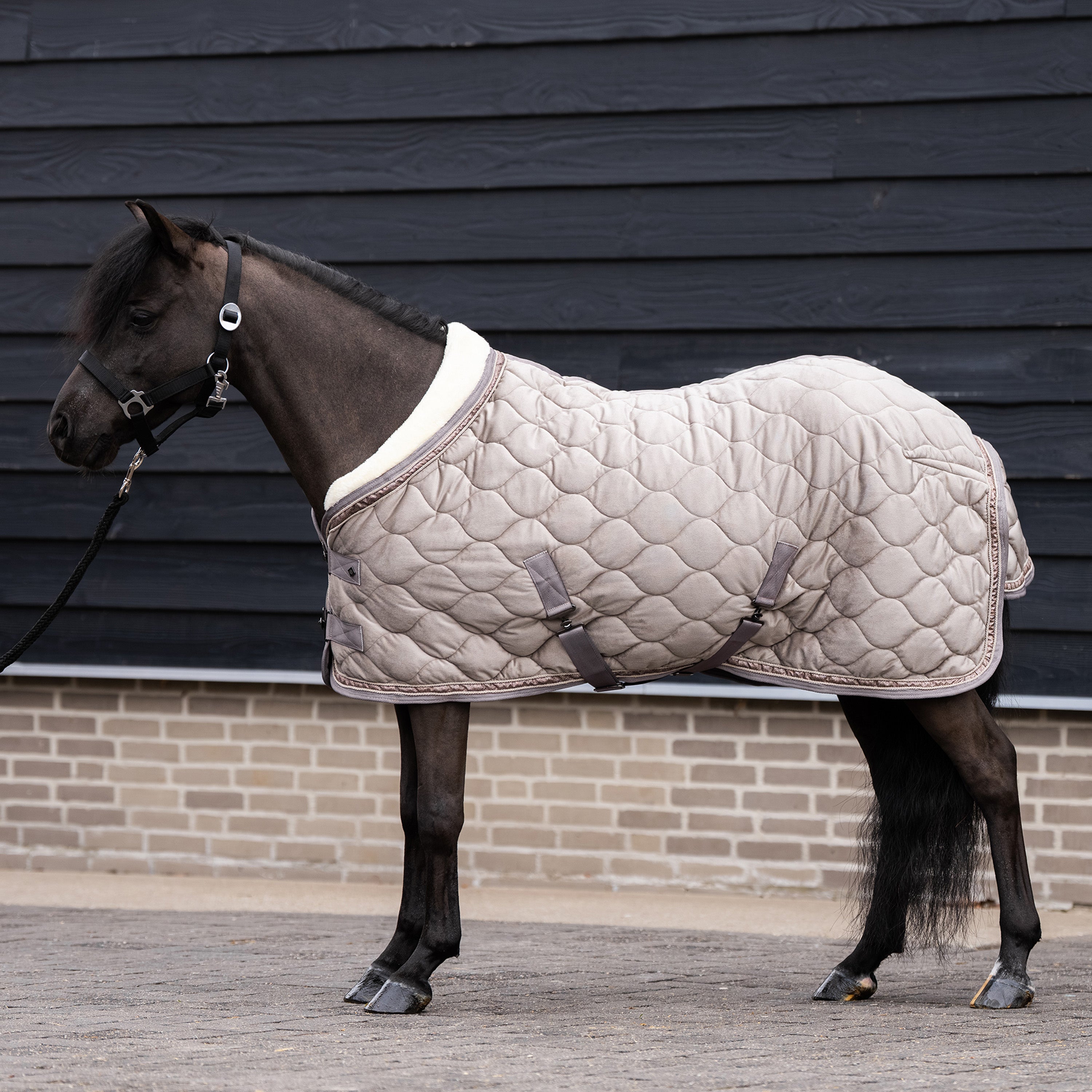 Show blanket IRHBandit