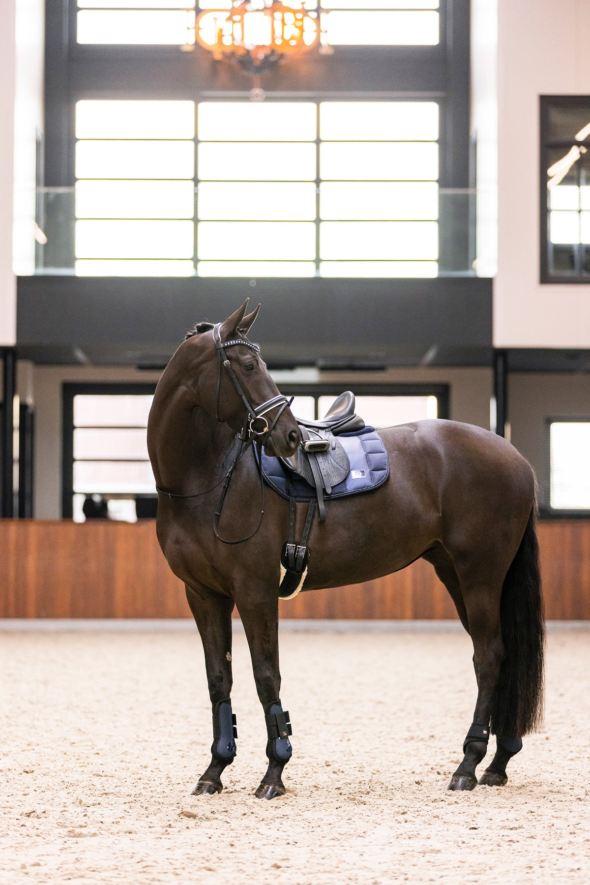 Tendon boots IRHLovely