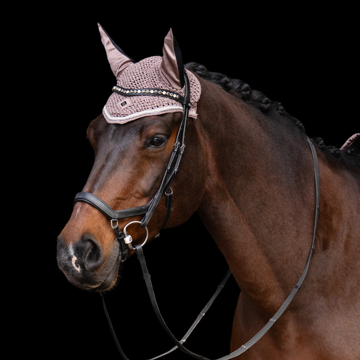 Flyveil IRHLenny