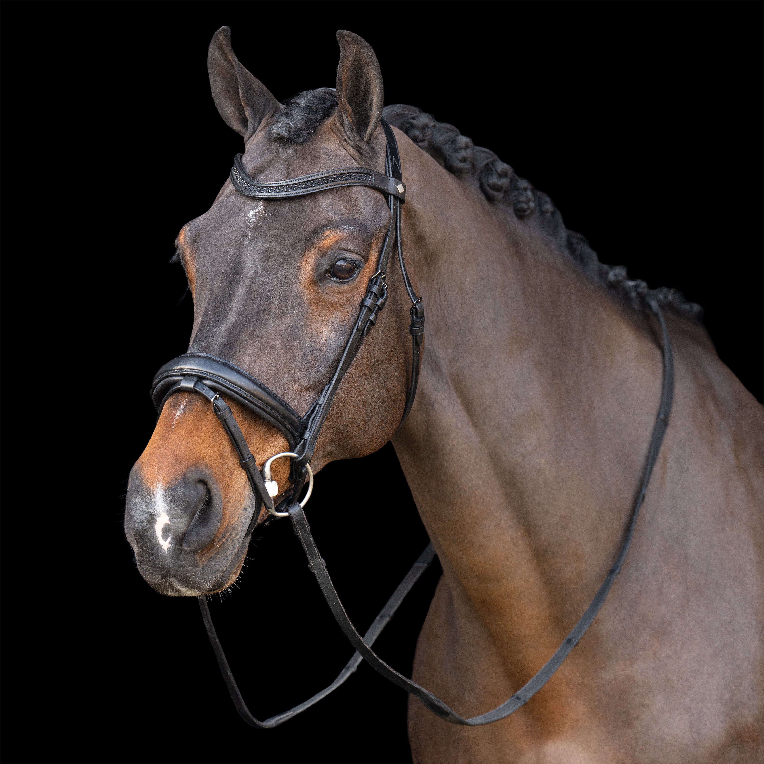 Snaffle bridle with English noseband IRH