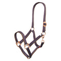 Headcollar IRHEconomic