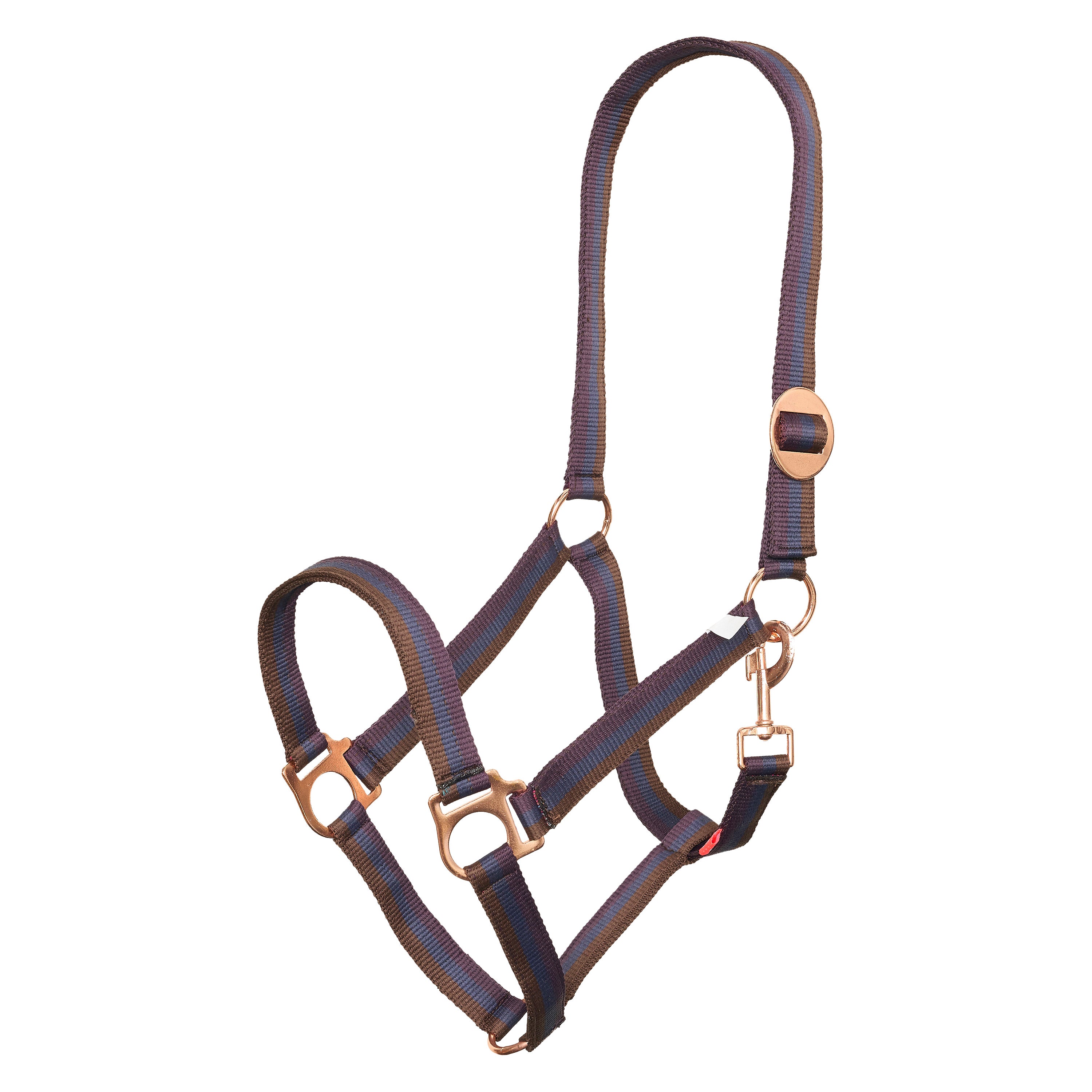 Headcollar IRHEconomic