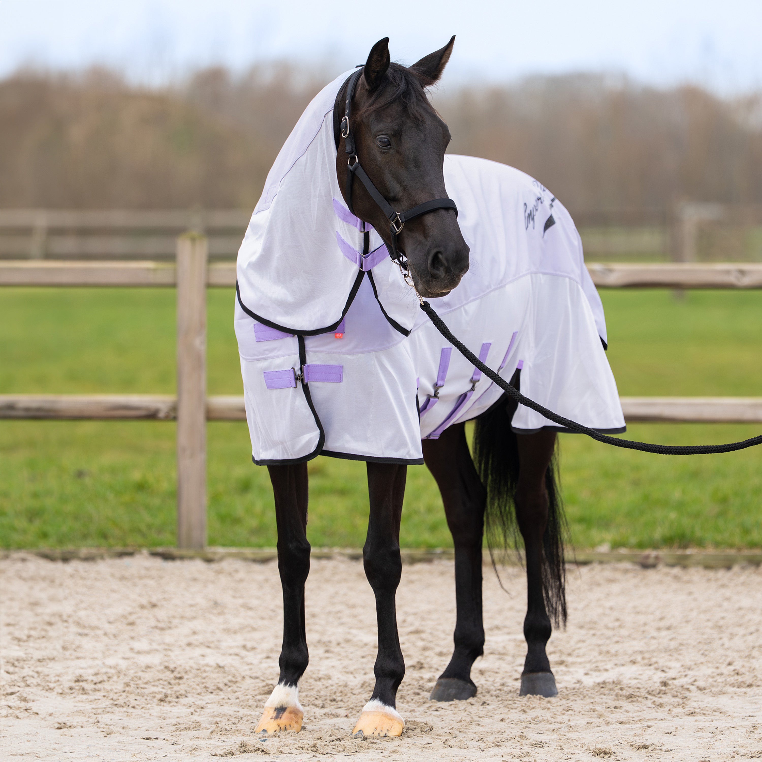 Neck rain & fly blanket IRHSuper-dry