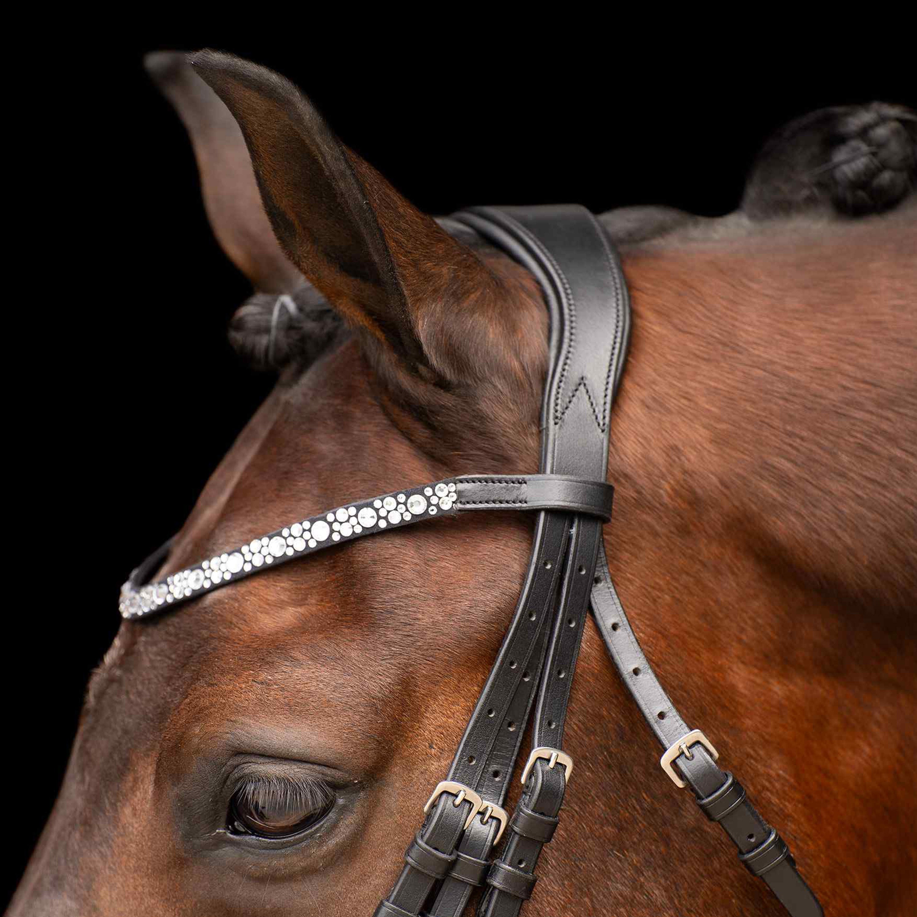 Weymouth bridle IRHOlympia